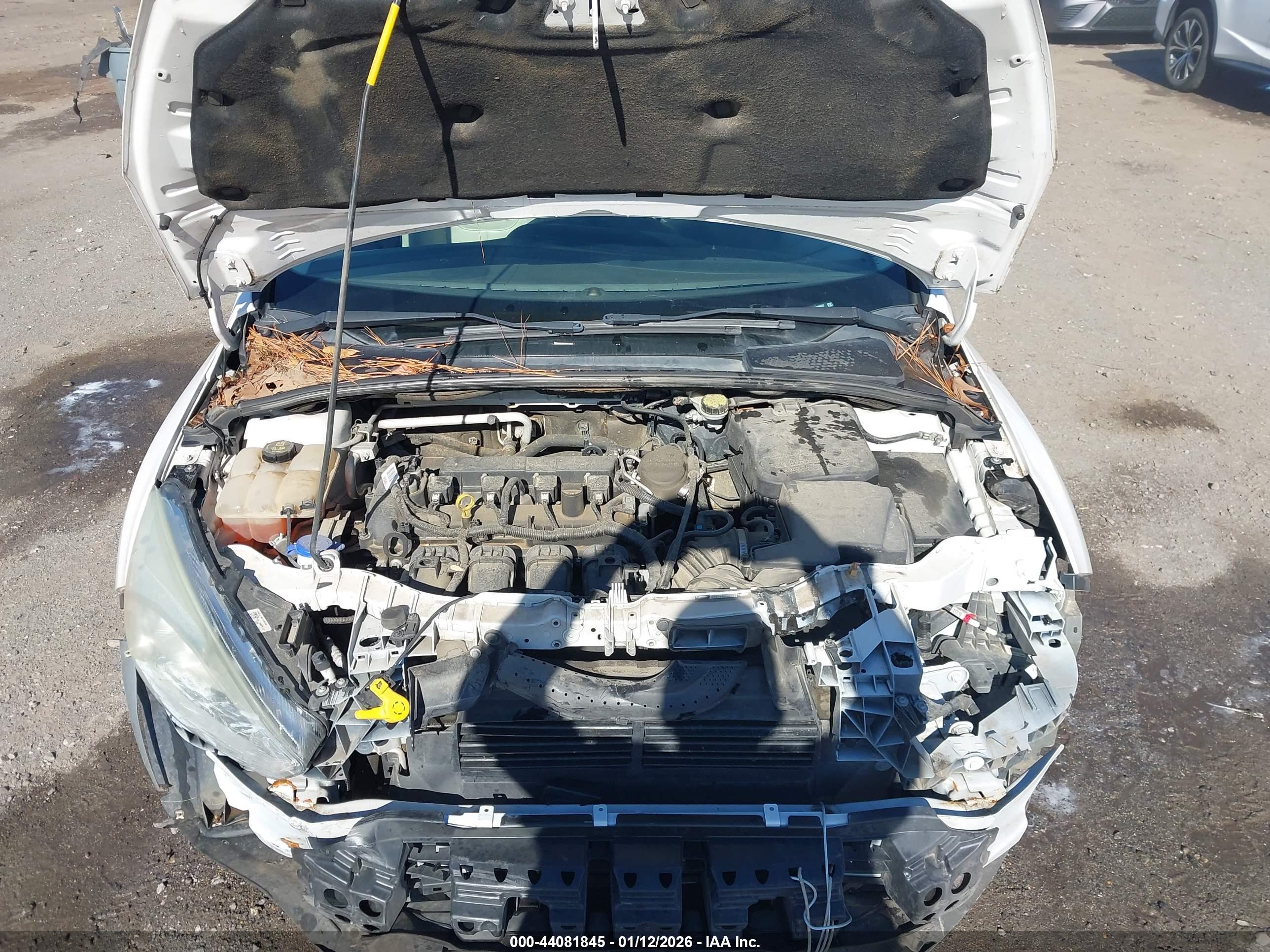 FORD FOCUS image 10