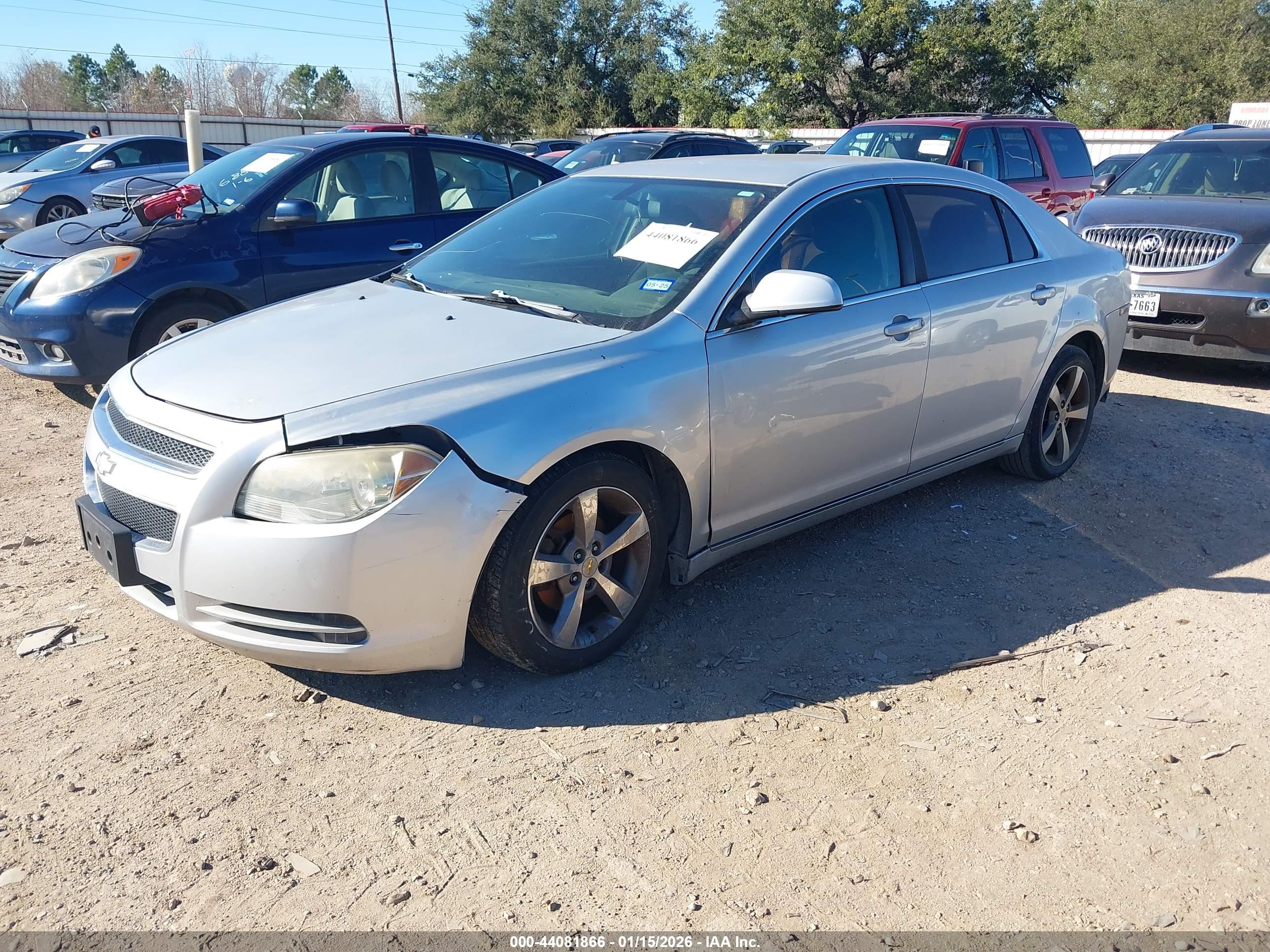 CHEVROLET MALIBU image 2