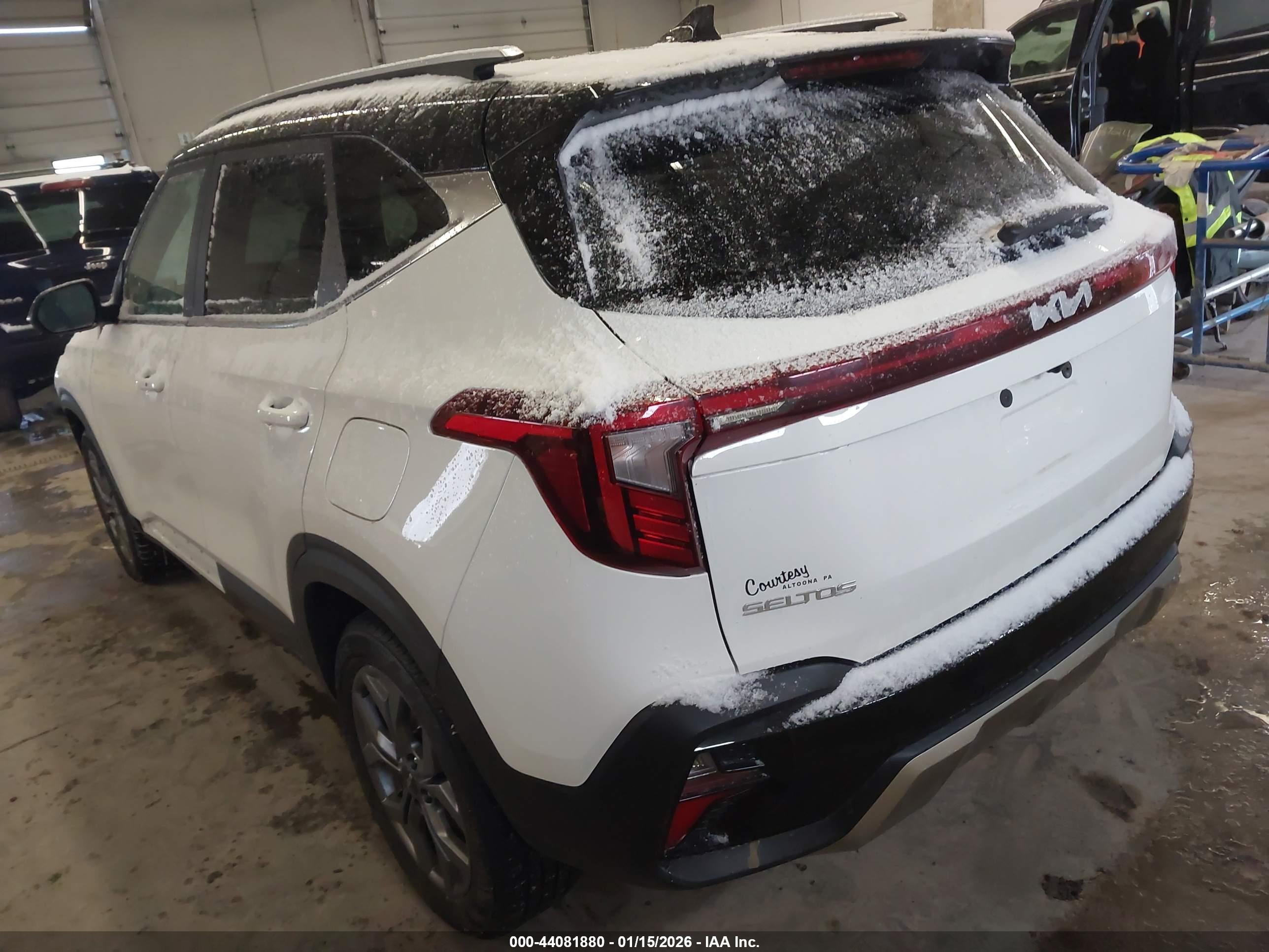 KIA SELTOS image 3