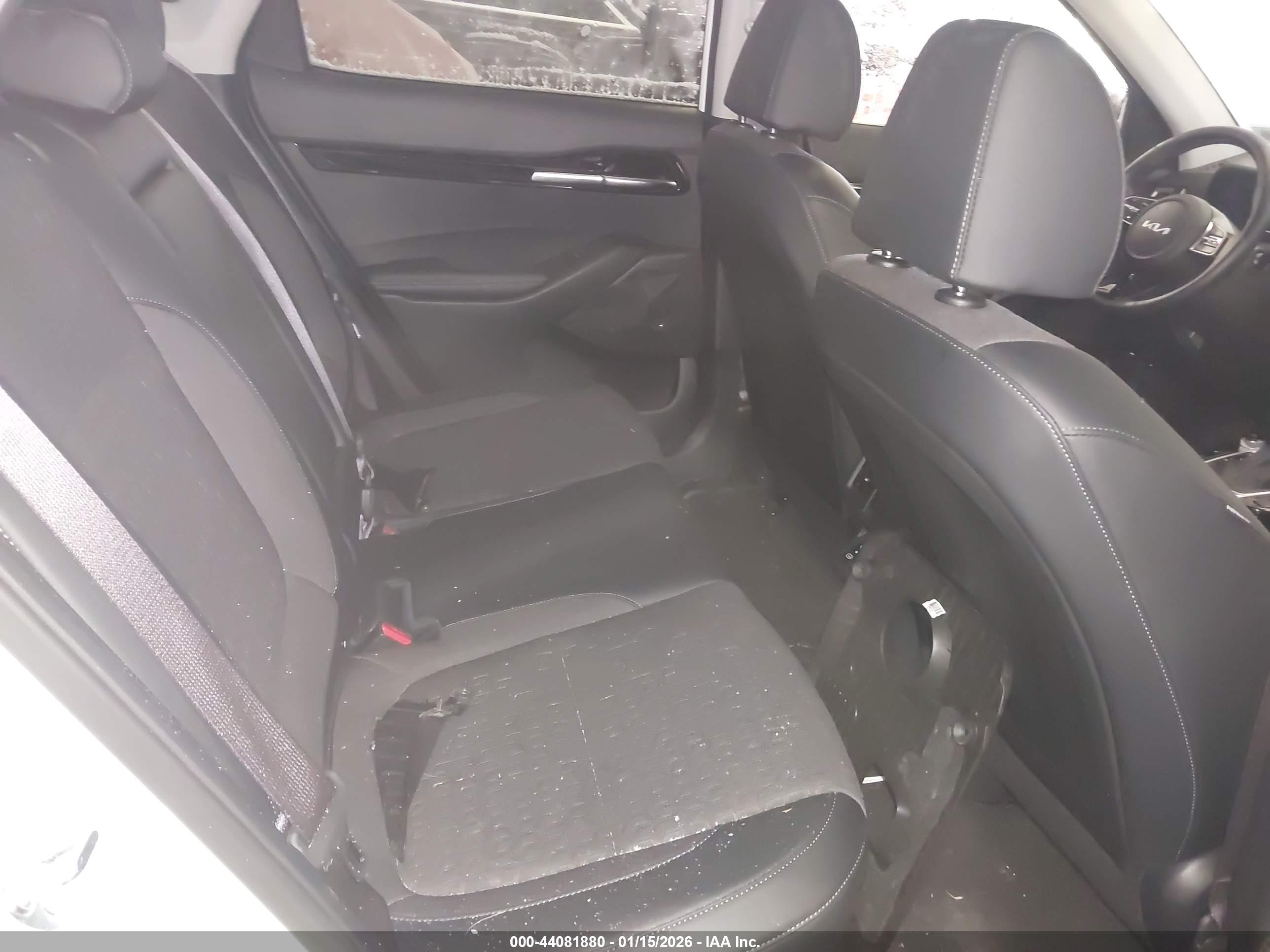 KIA SELTOS image 8