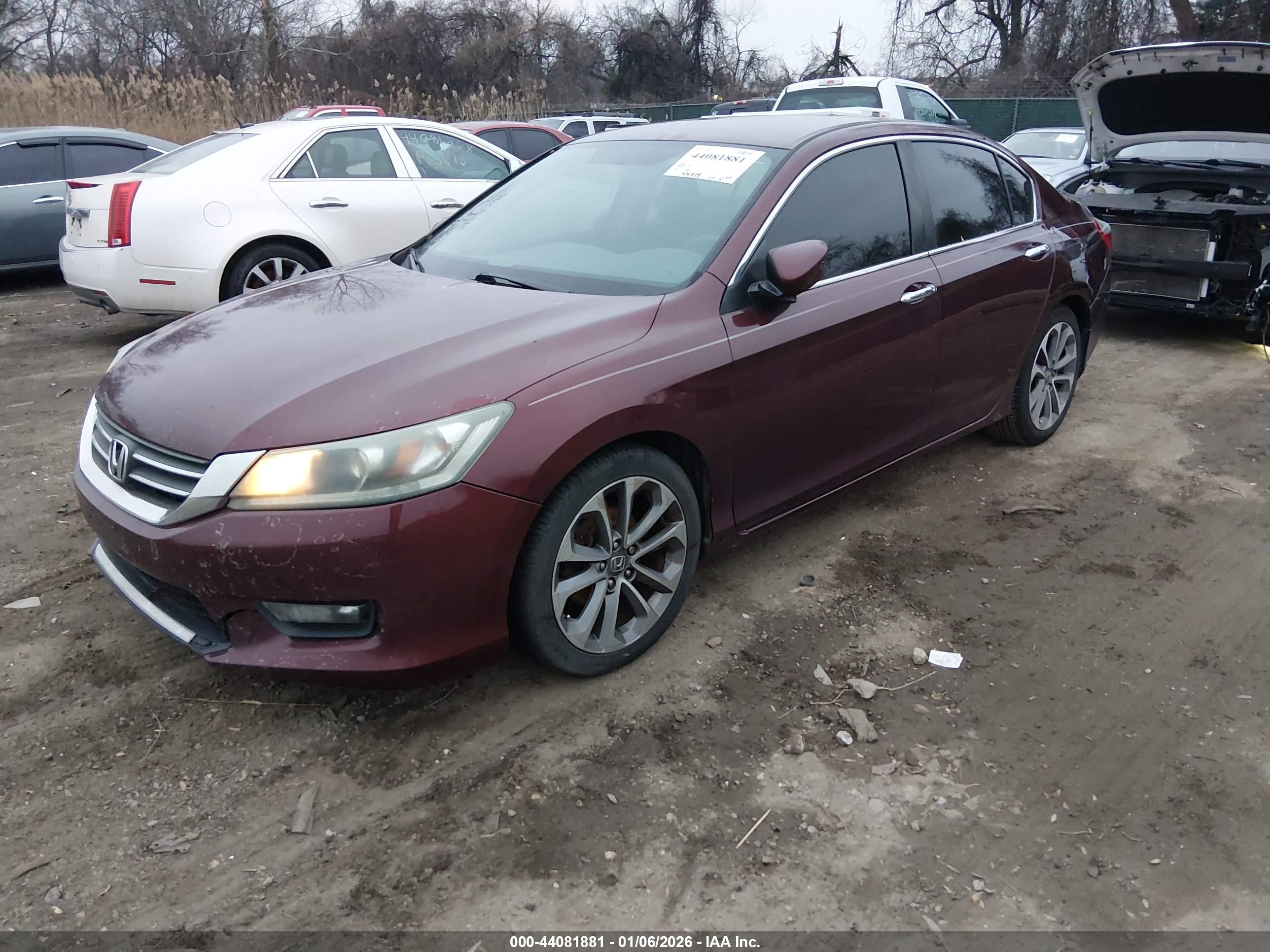 HONDA ACCORD image 2