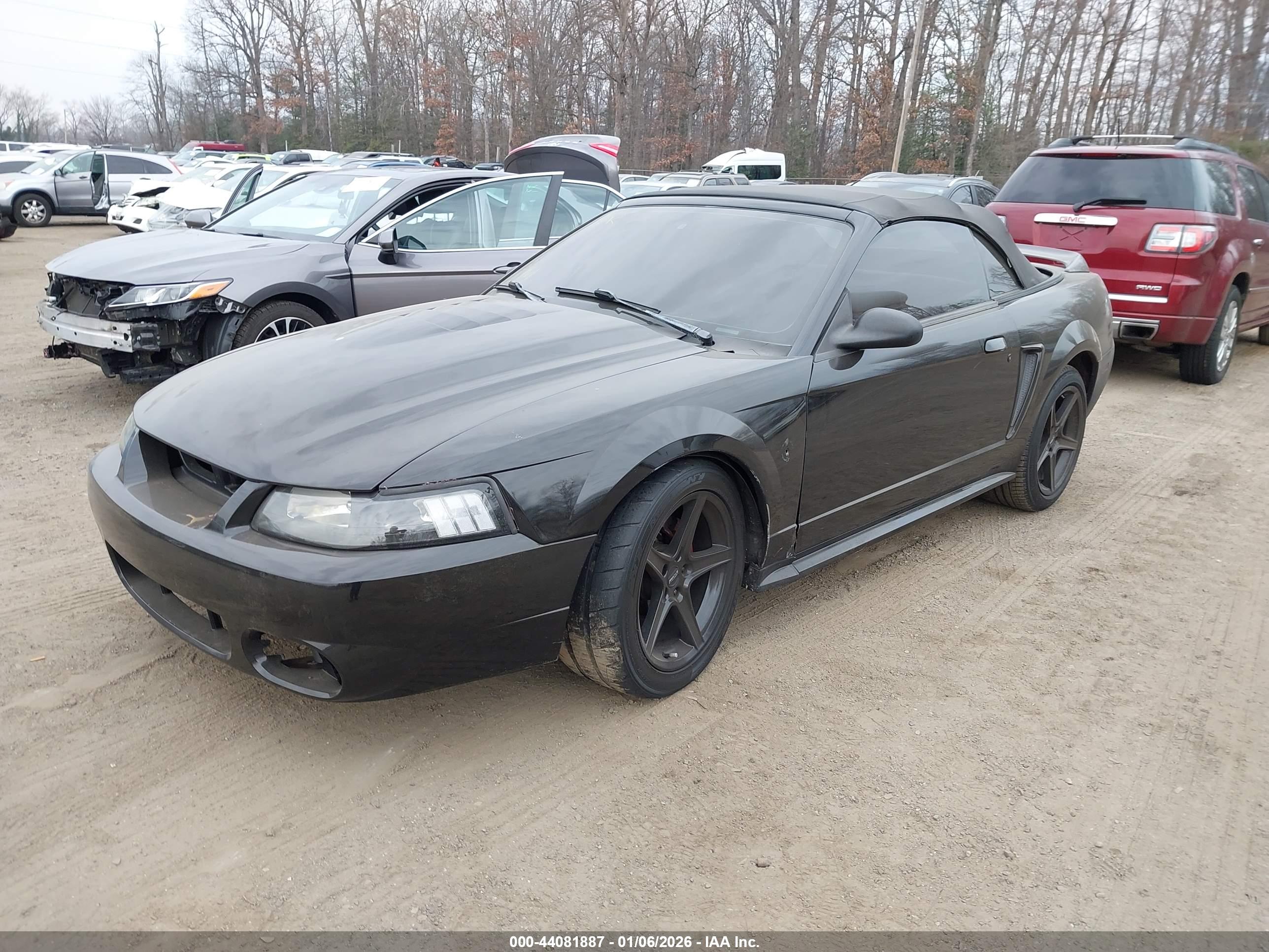 FORD MUSTANG image 2