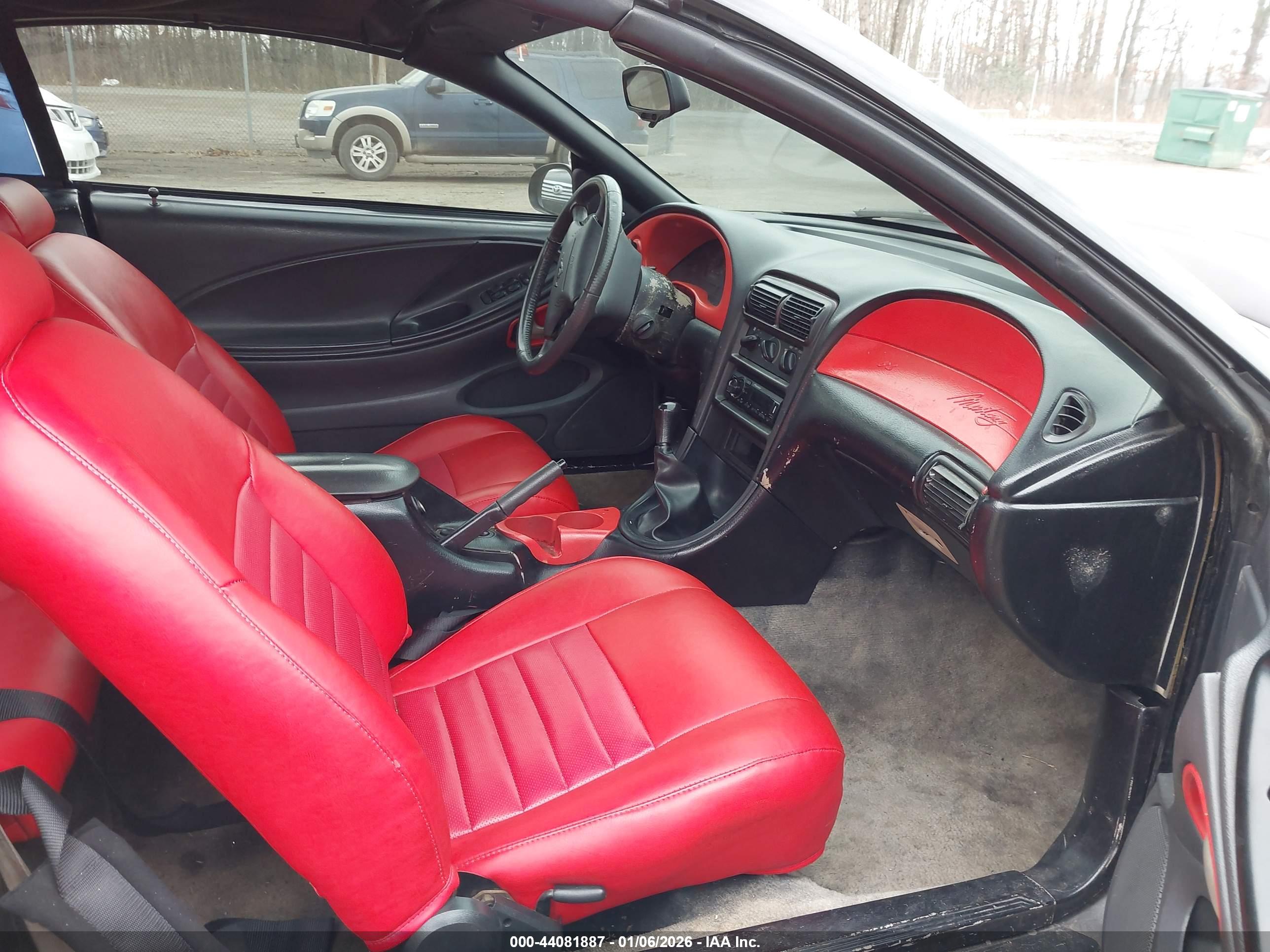 FORD MUSTANG image 5