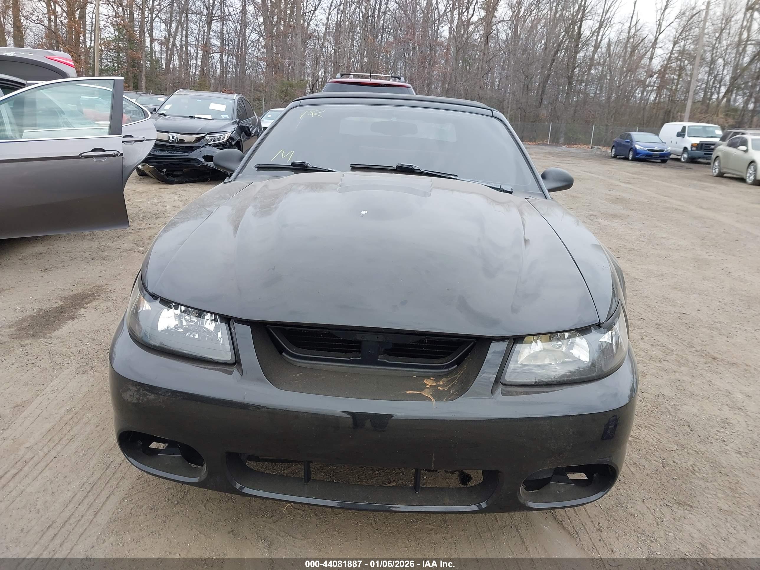 FORD MUSTANG image 6