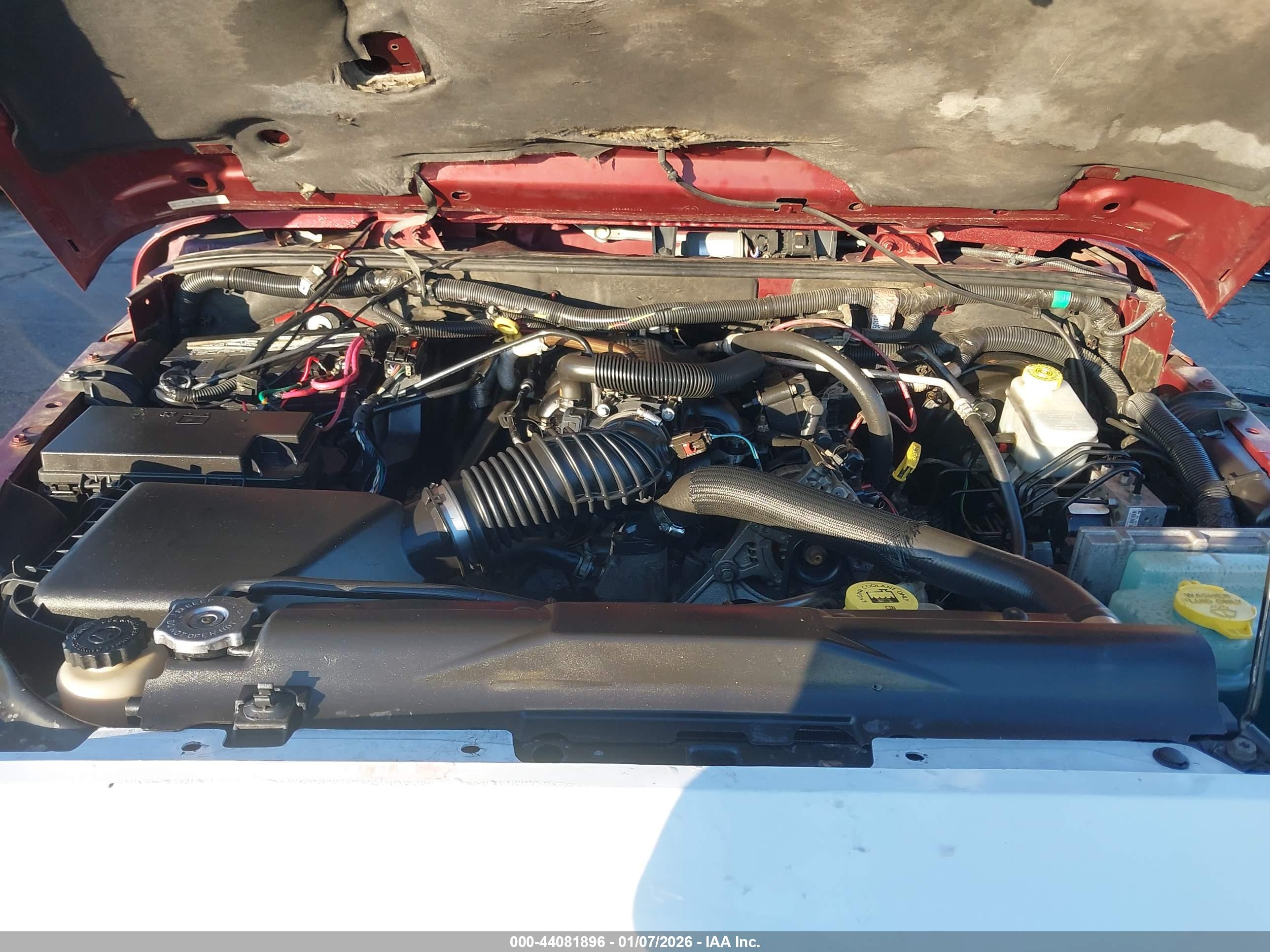 JEEP WRANGLER image 10
