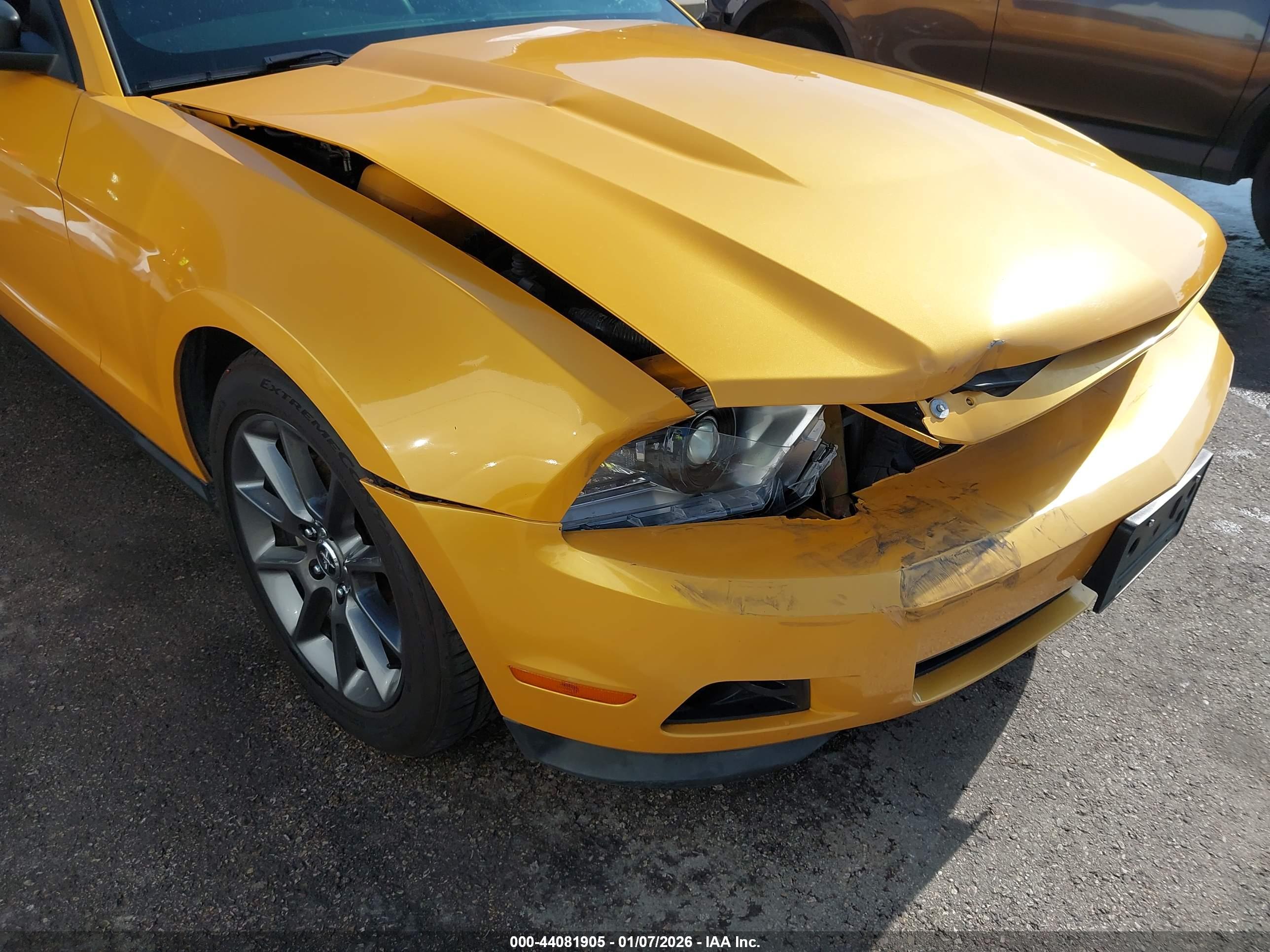 FORD MUSTANG image 6