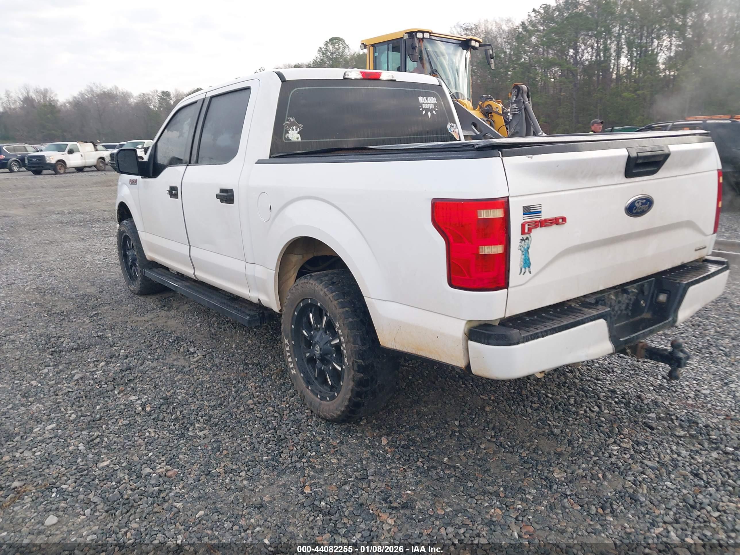 FORD F-150 image 3