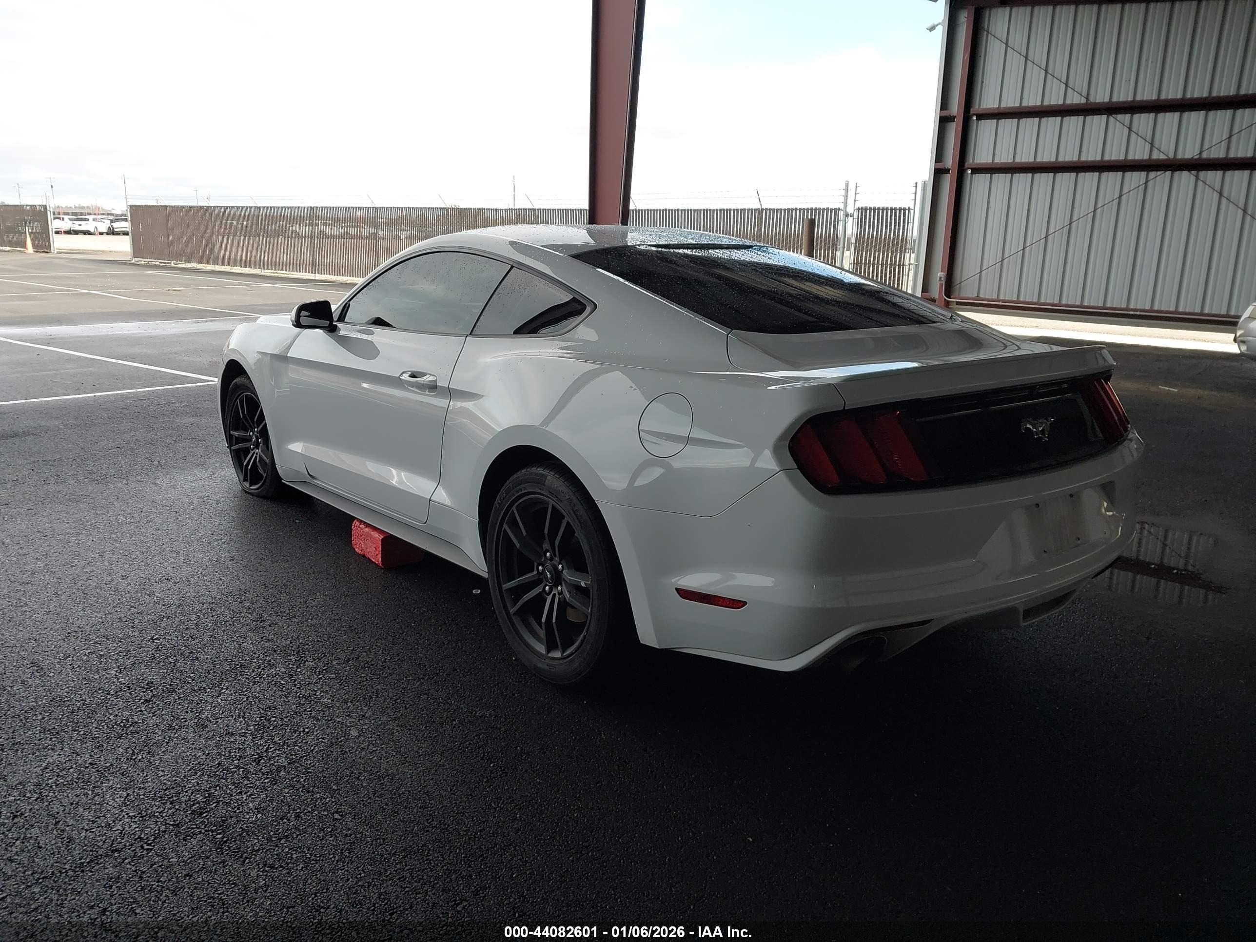 FORD MUSTANG image 3