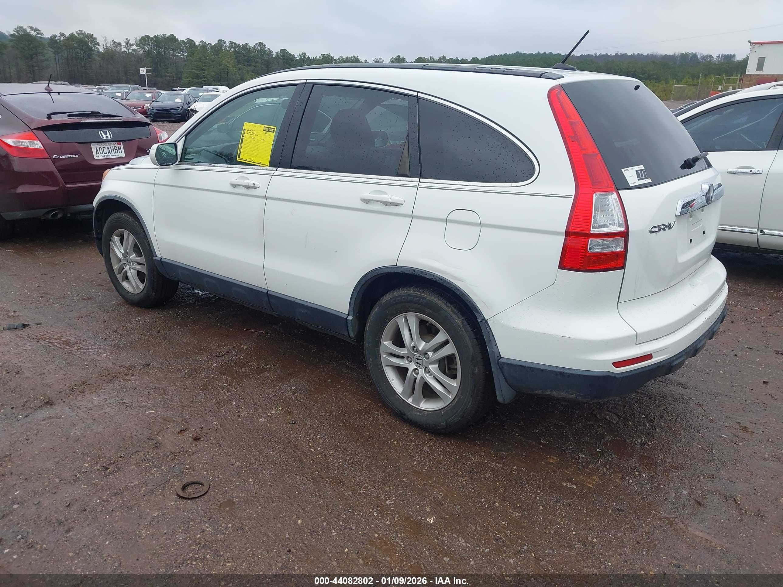 HONDA CR-V image 3
