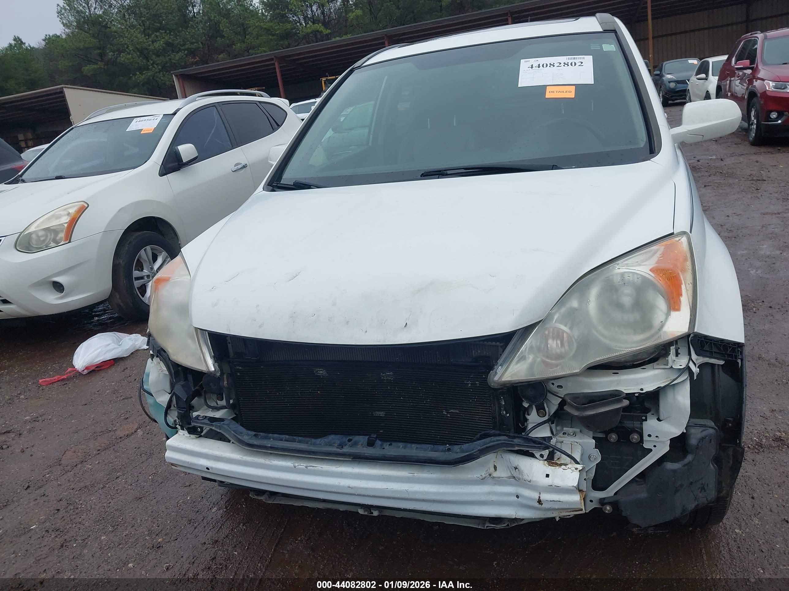 HONDA CR-V image 6