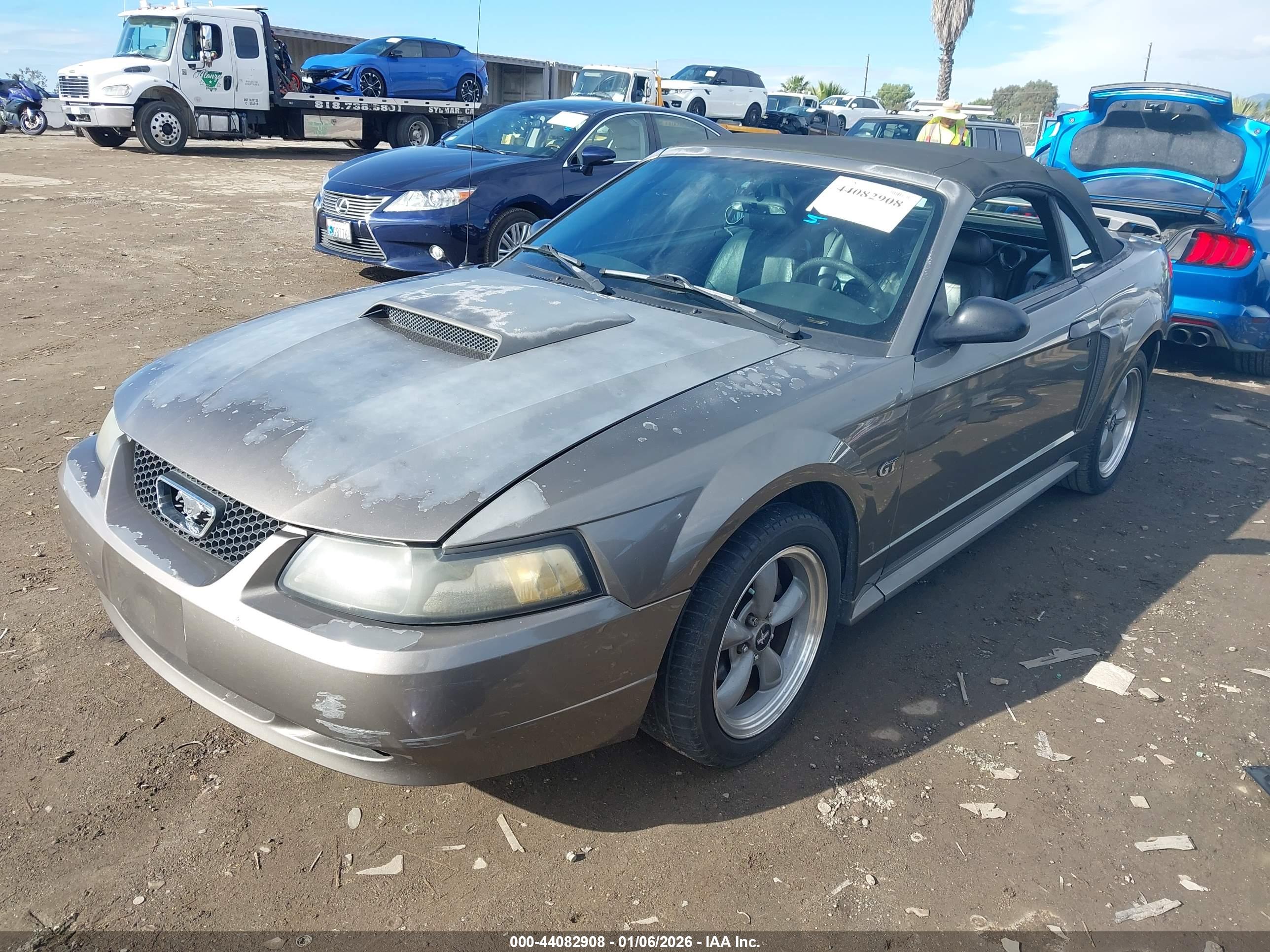 FORD MUSTANG image 2