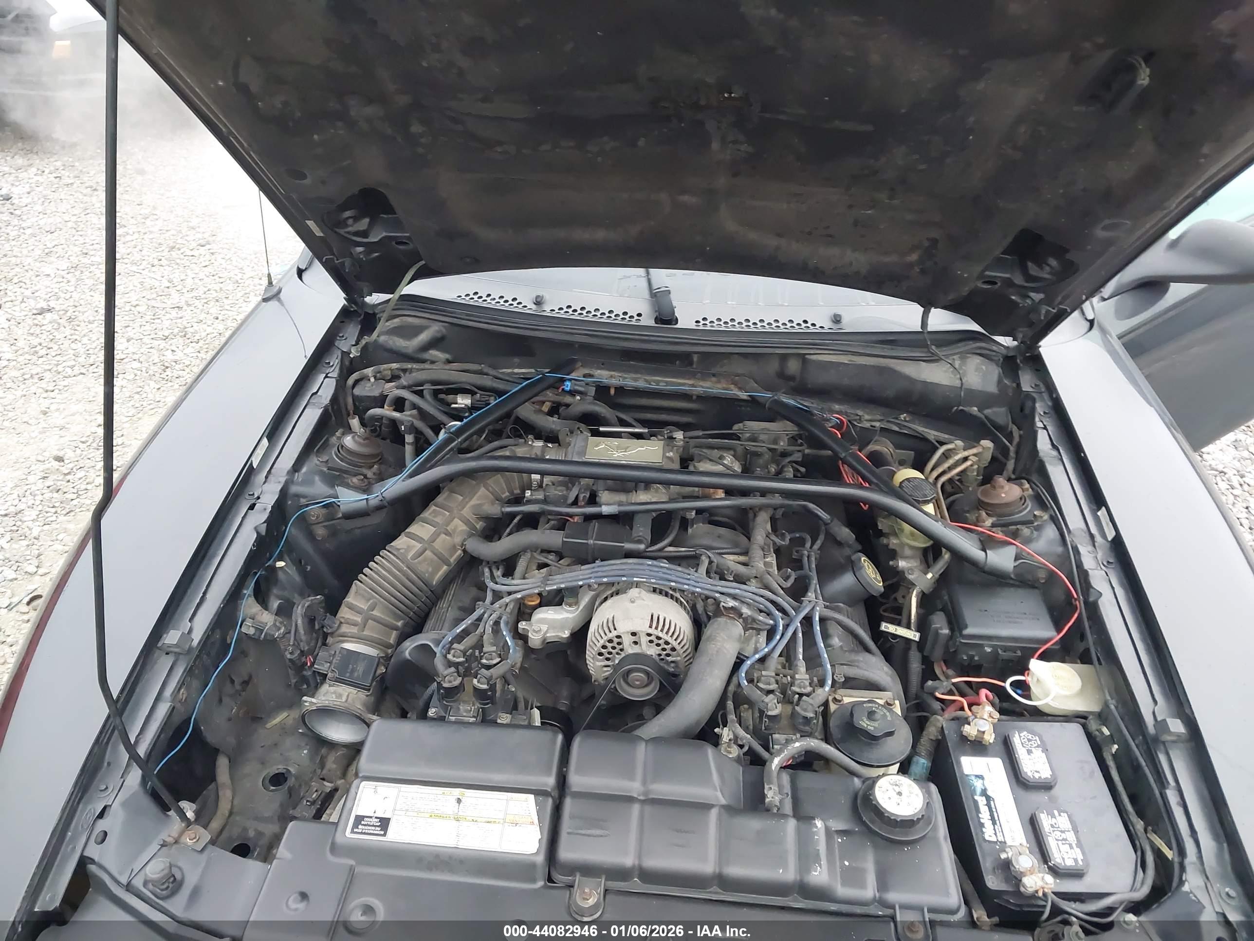 FORD MUSTANG image 10