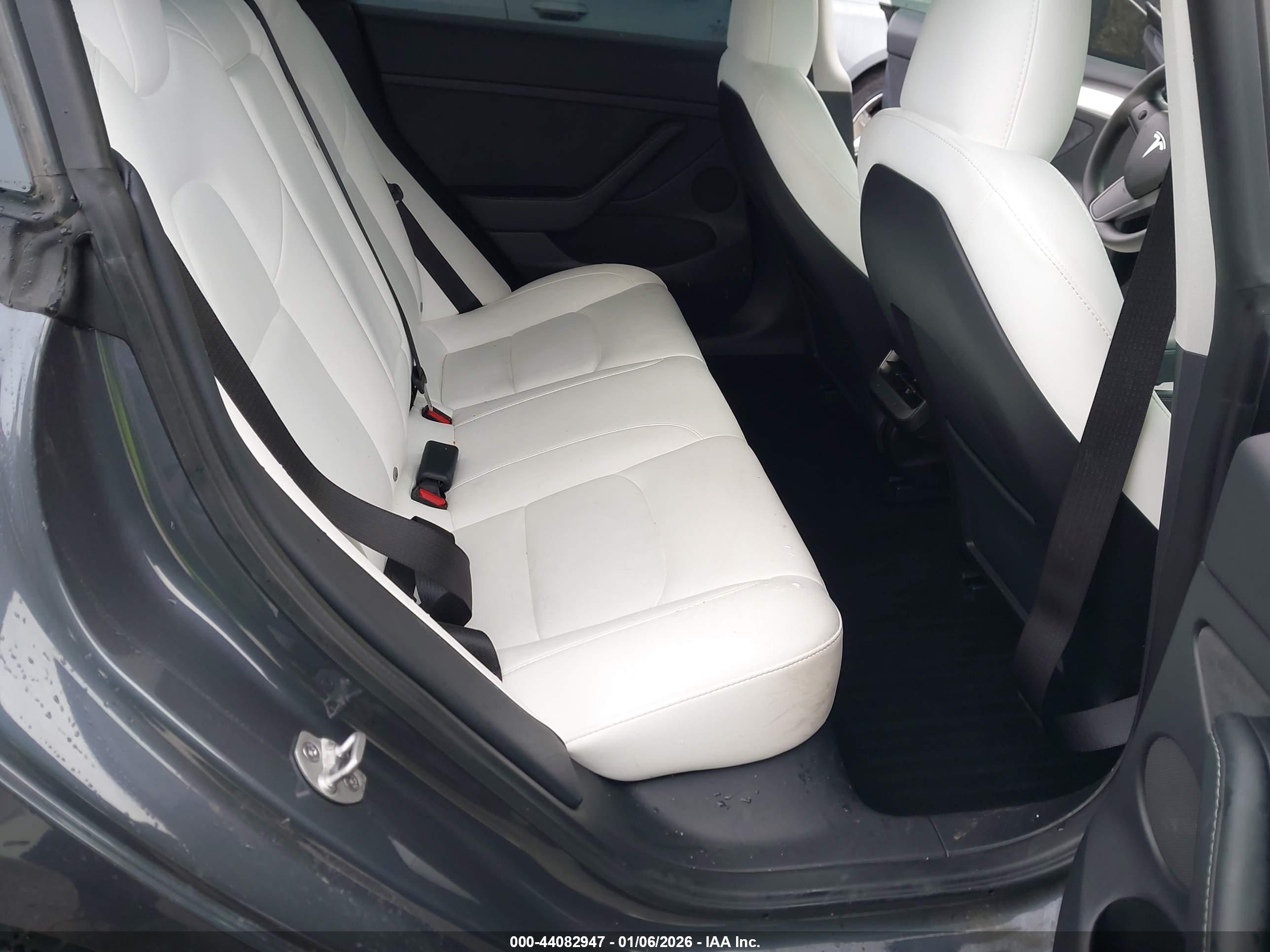 TESLA MODEL image 8