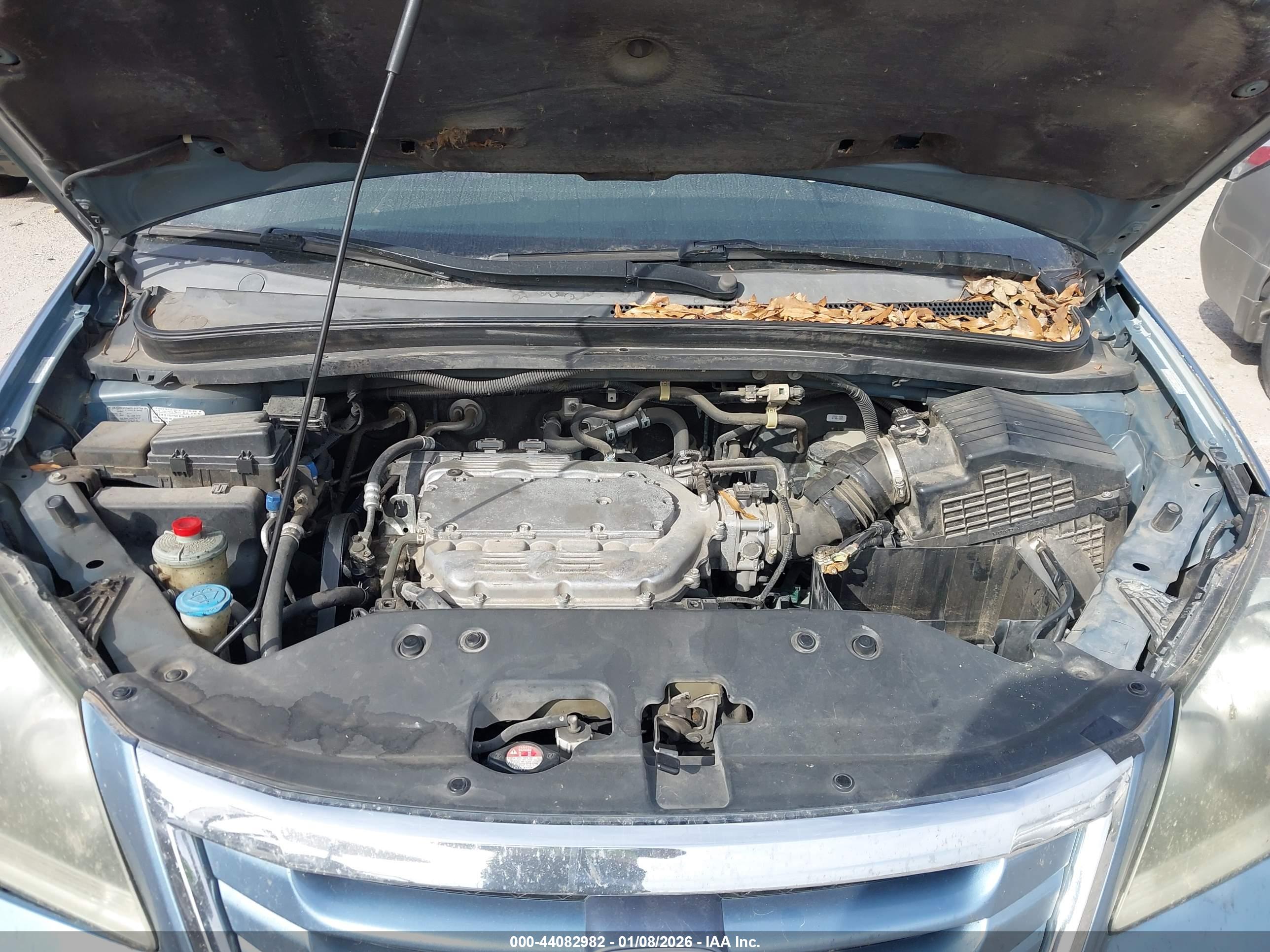 HONDA ODYSSEY image 10