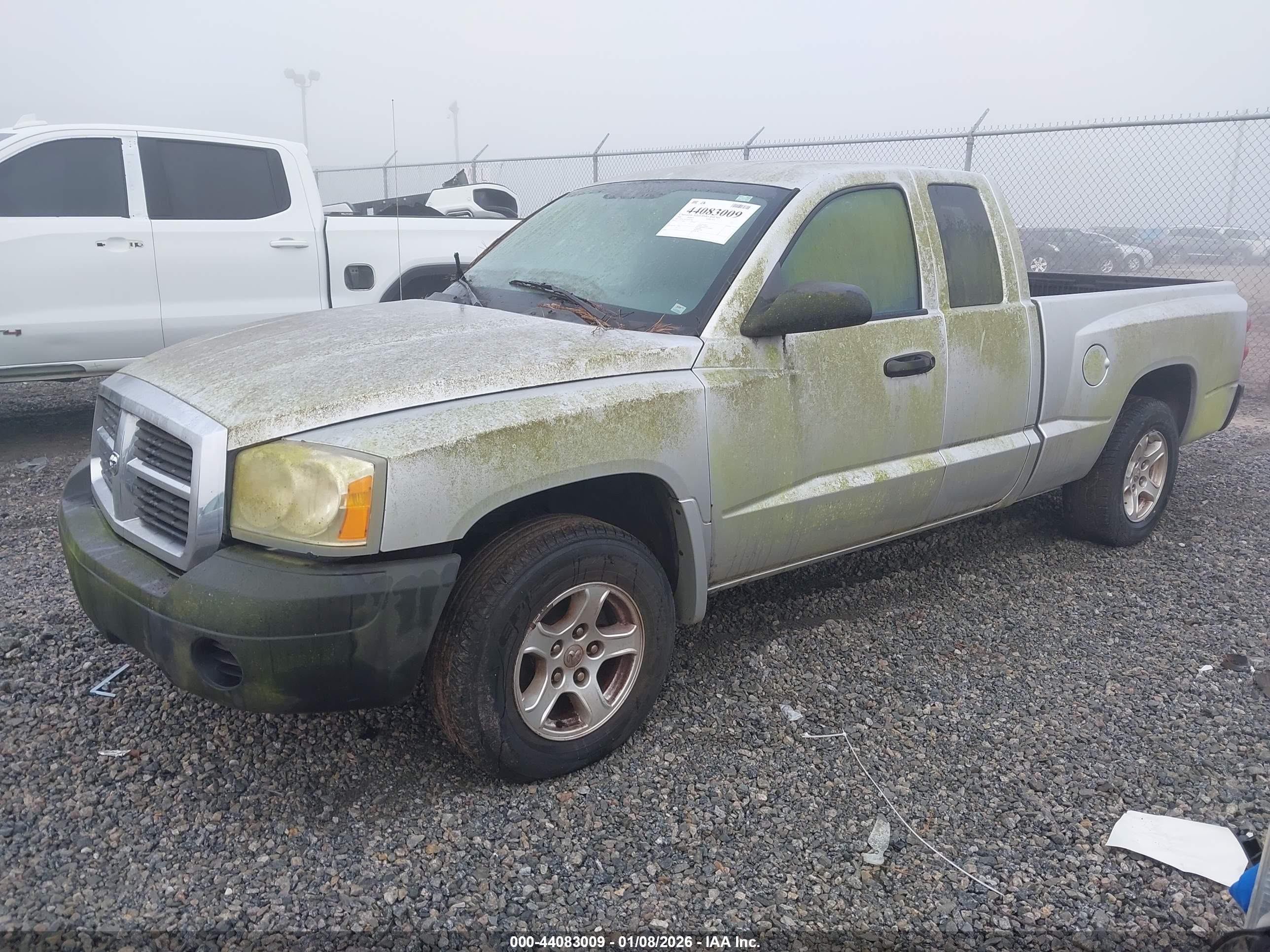 DODGE DAKOTA image 2