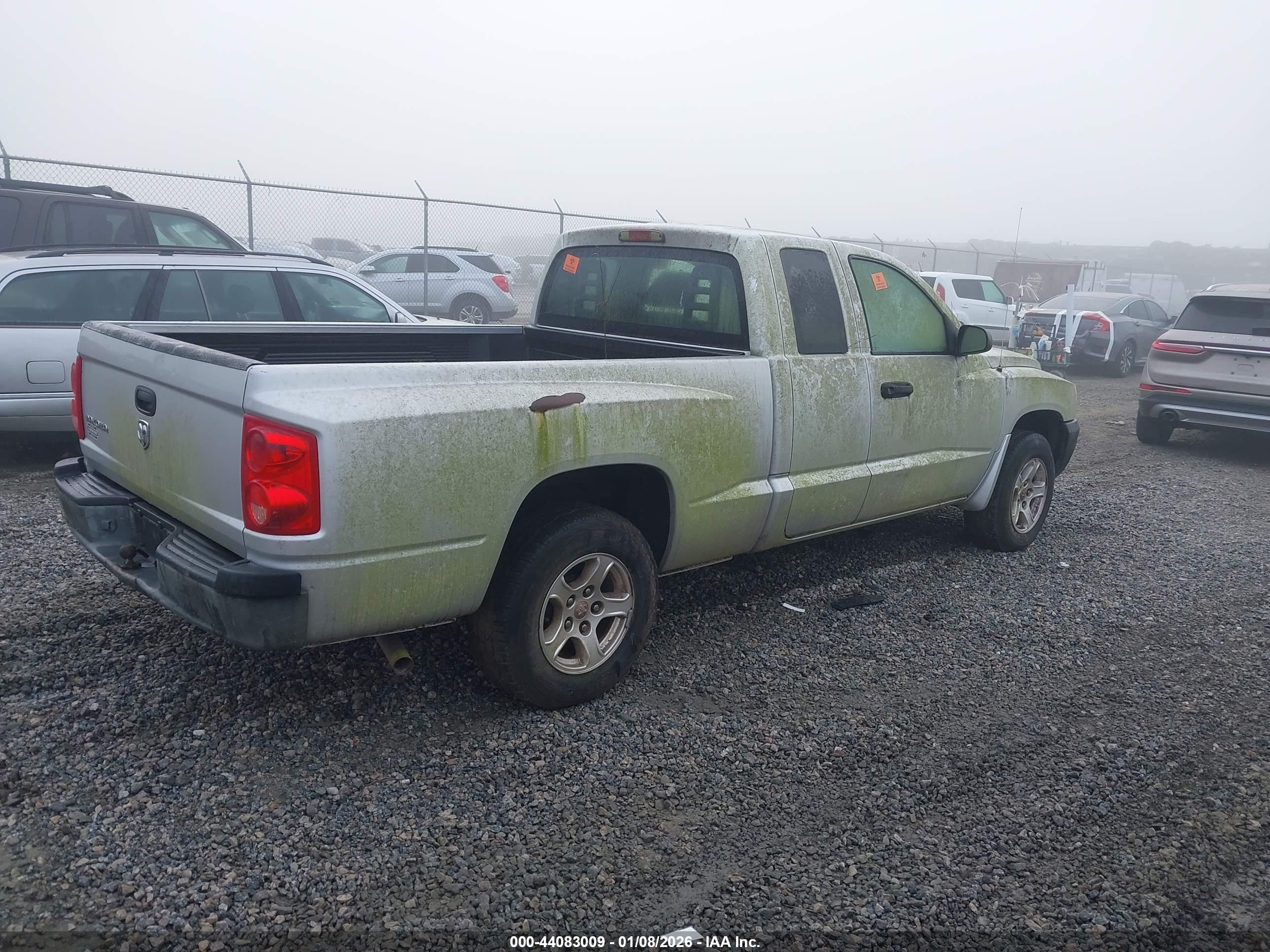 DODGE DAKOTA image 4
