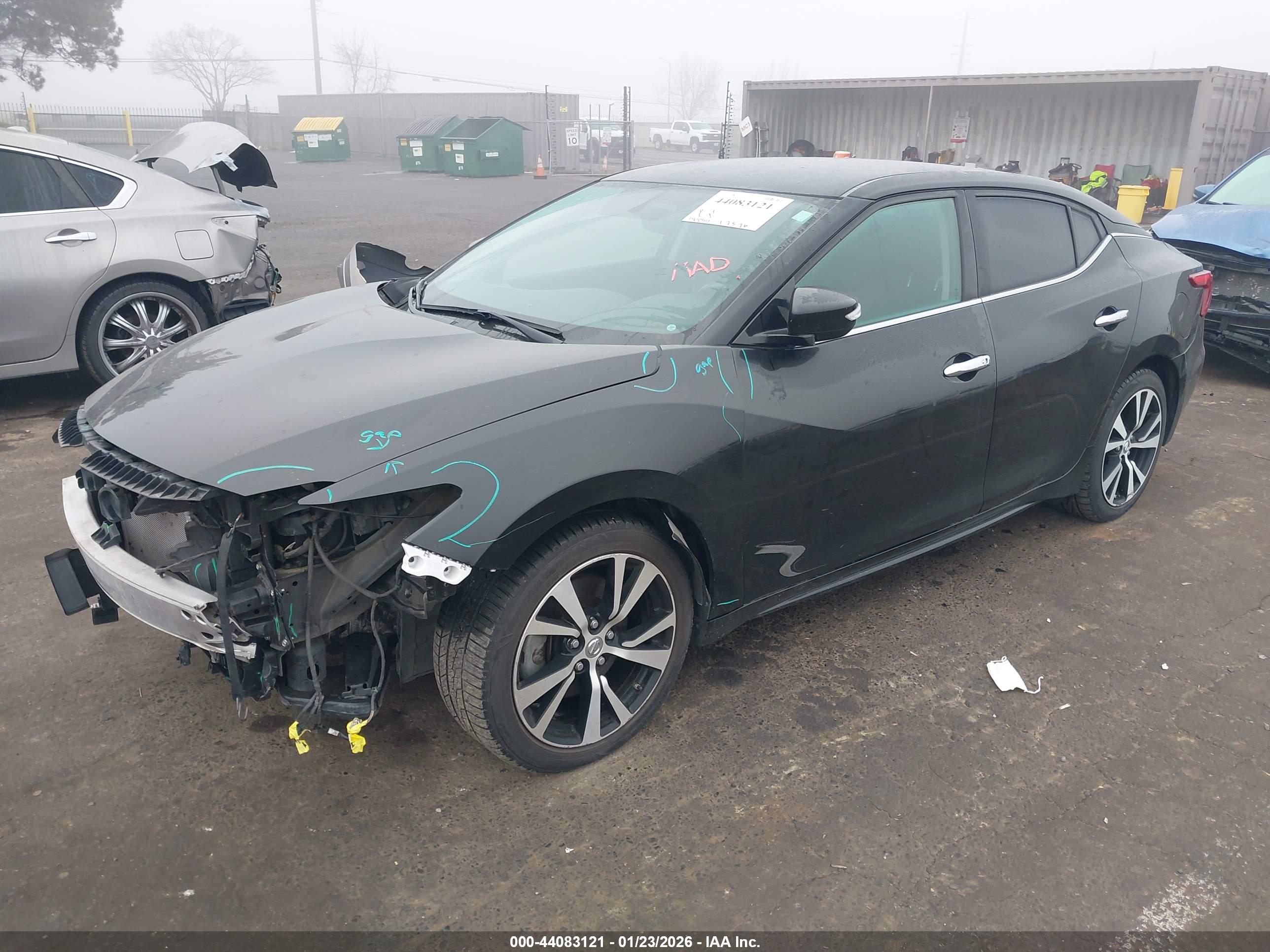 NISSAN MAXIMA image 2