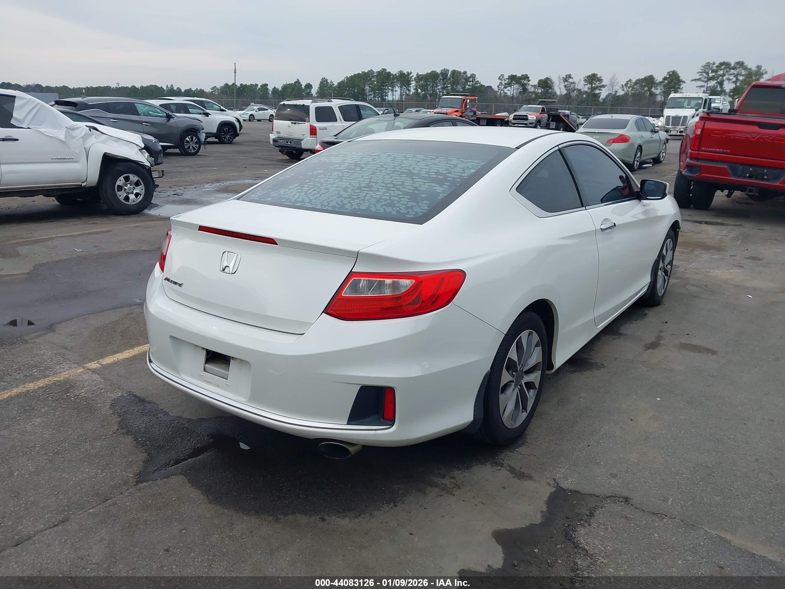 HONDA ACCORD image 4