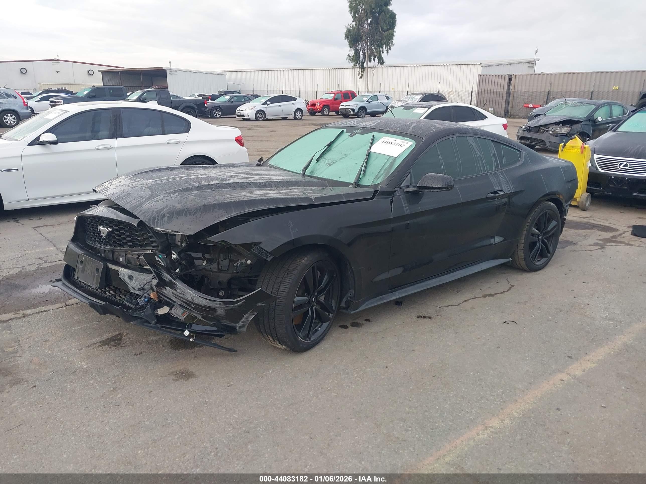 FORD MUSTANG image 2
