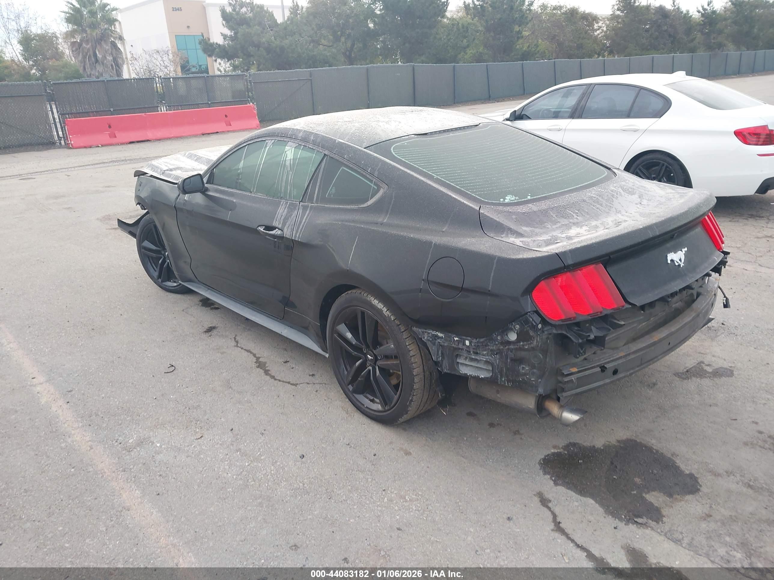 FORD MUSTANG image 3