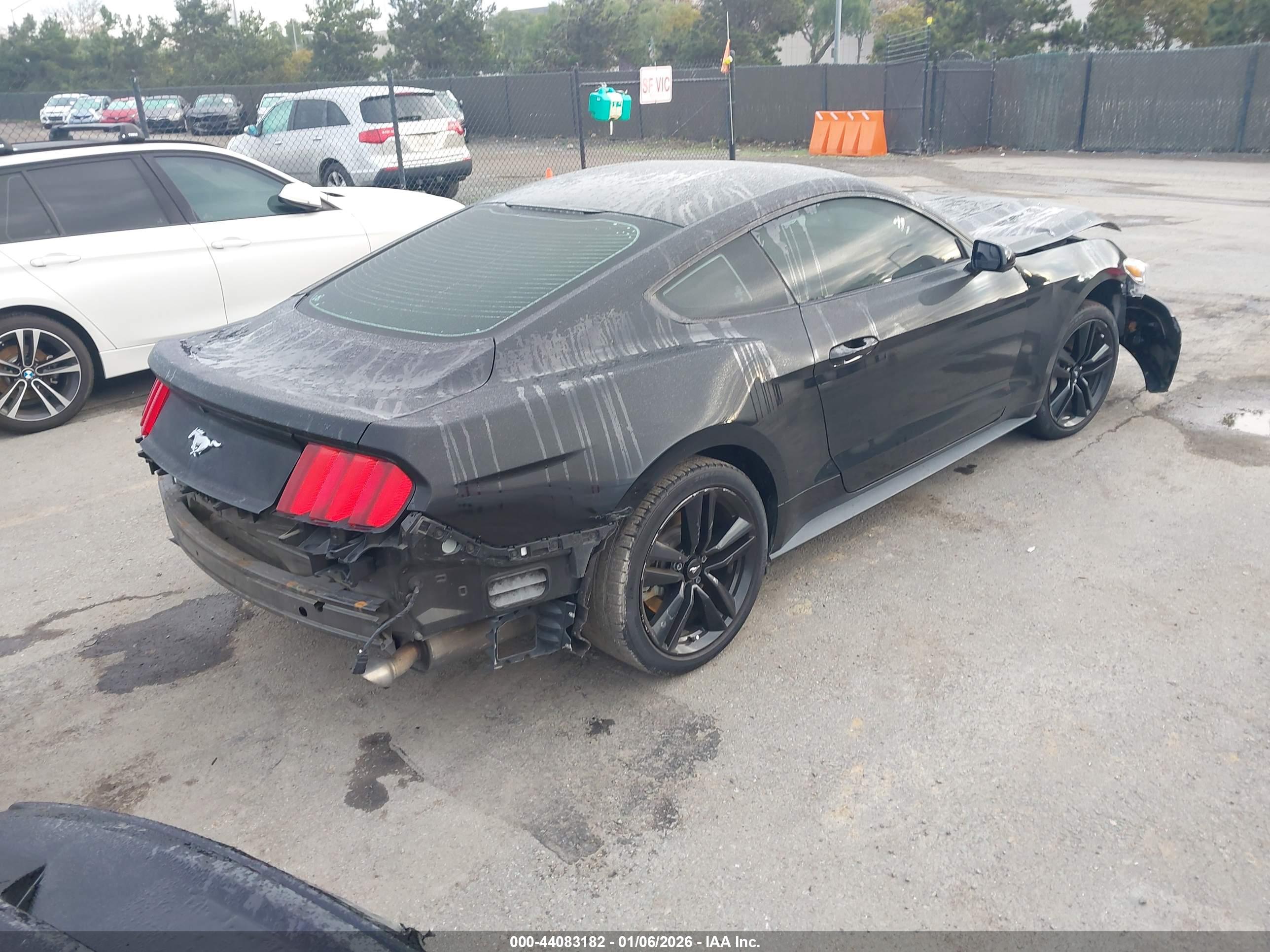 FORD MUSTANG image 4