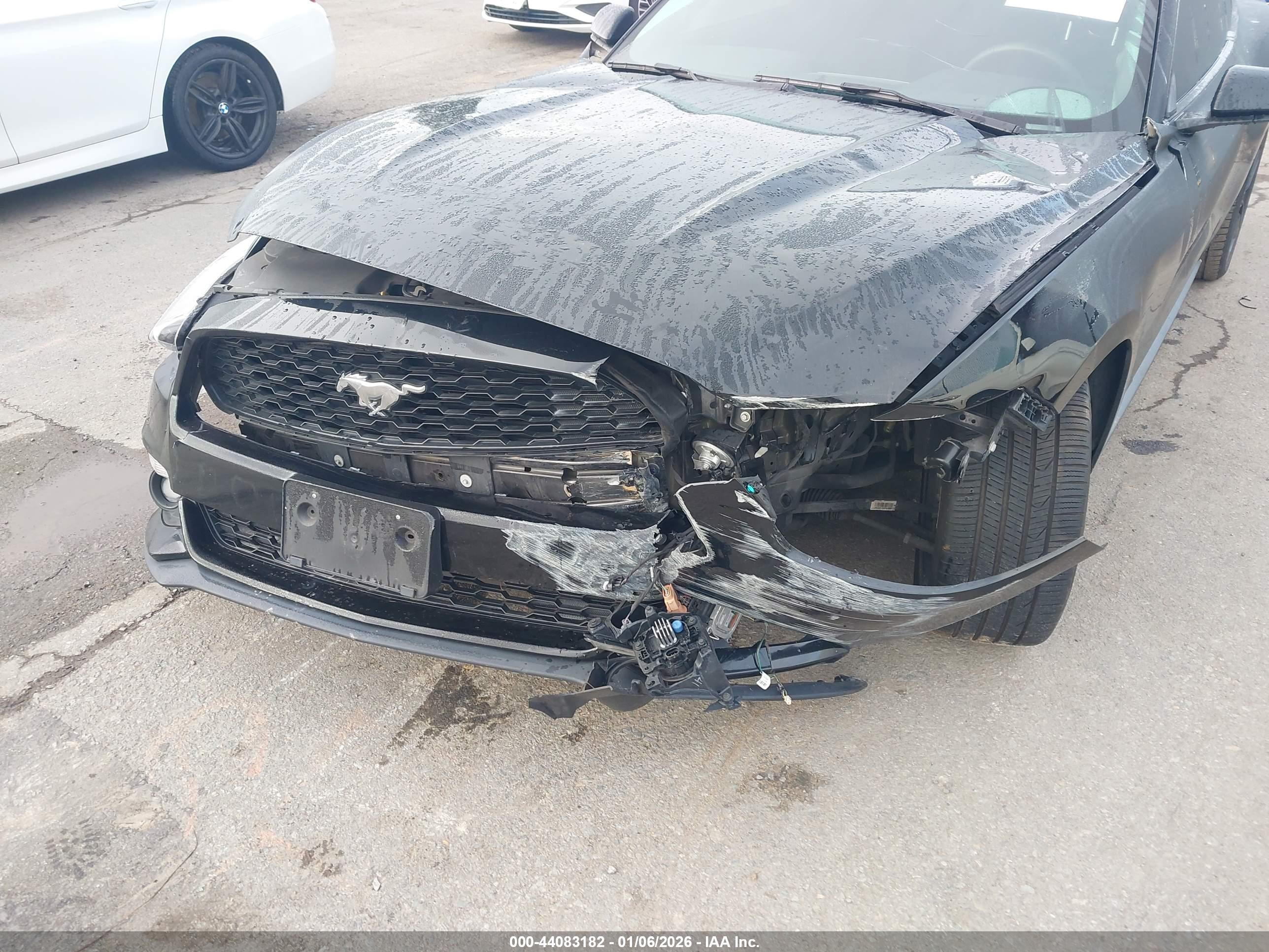 FORD MUSTANG image 6
