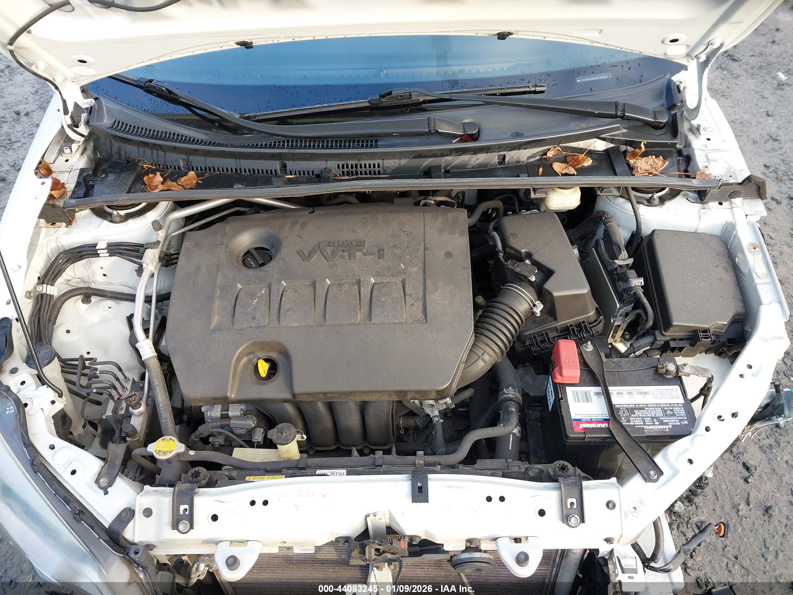 TOYOTA COROLLA image 10