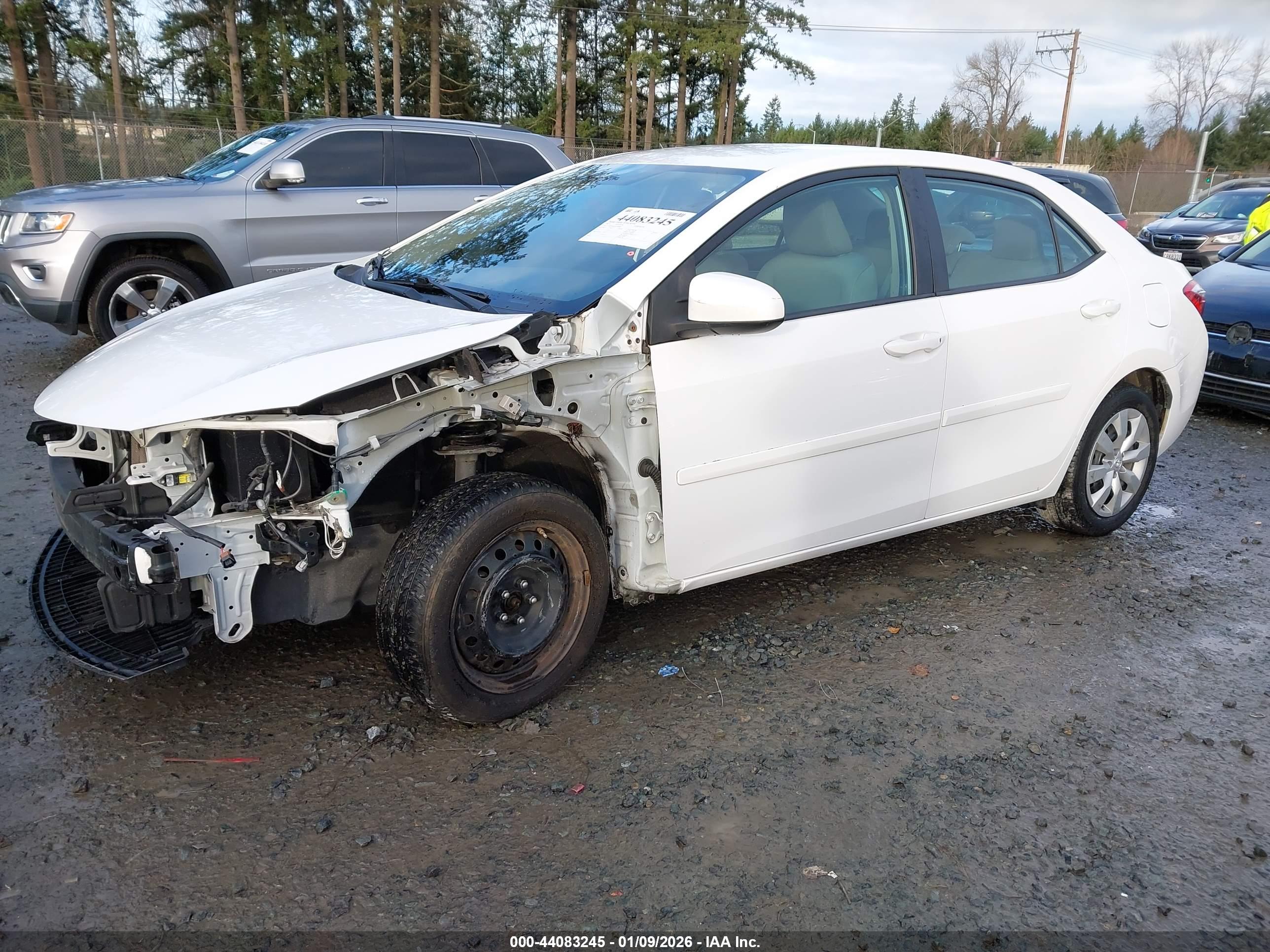 TOYOTA COROLLA image 2