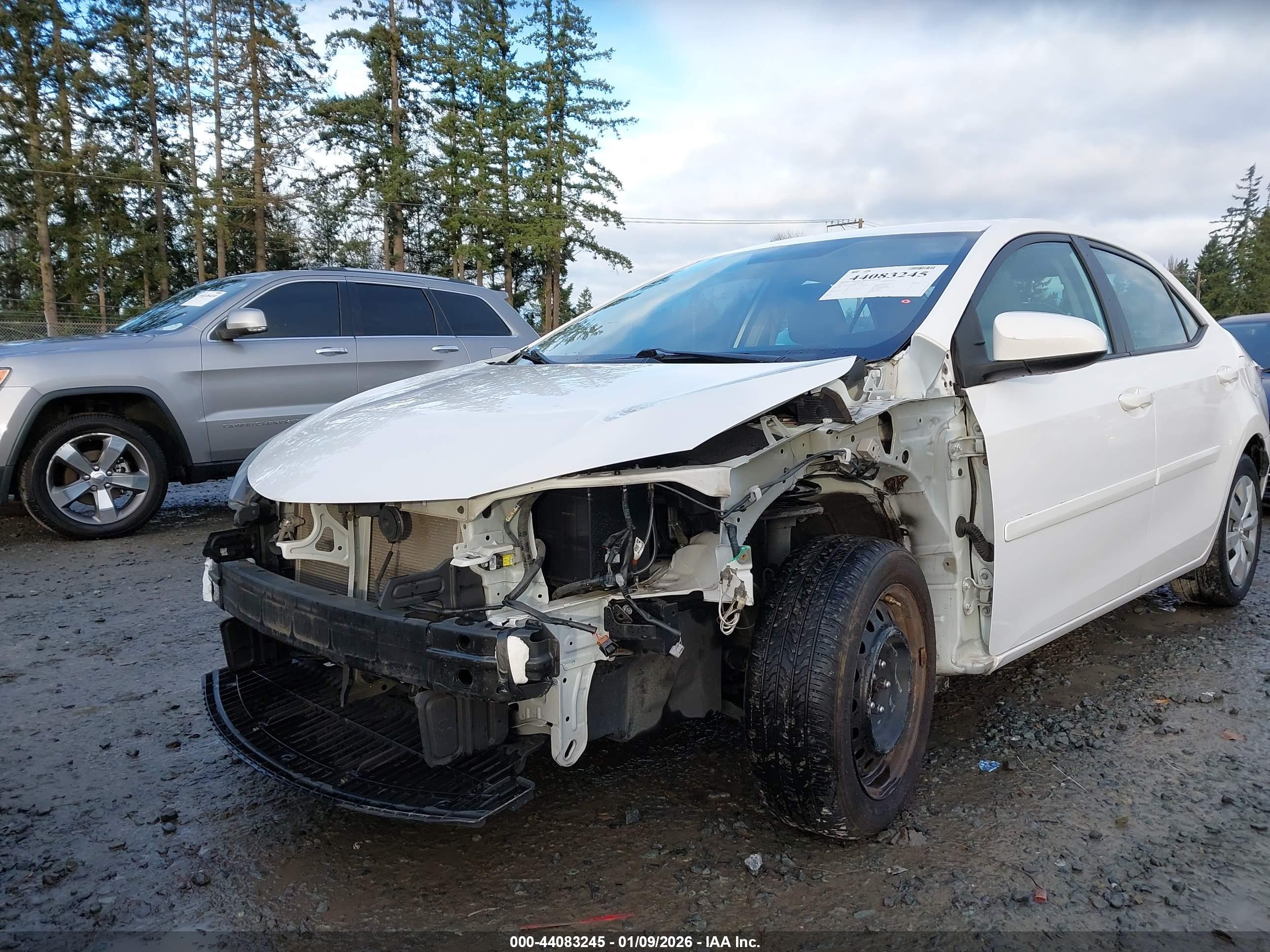 TOYOTA COROLLA image 6