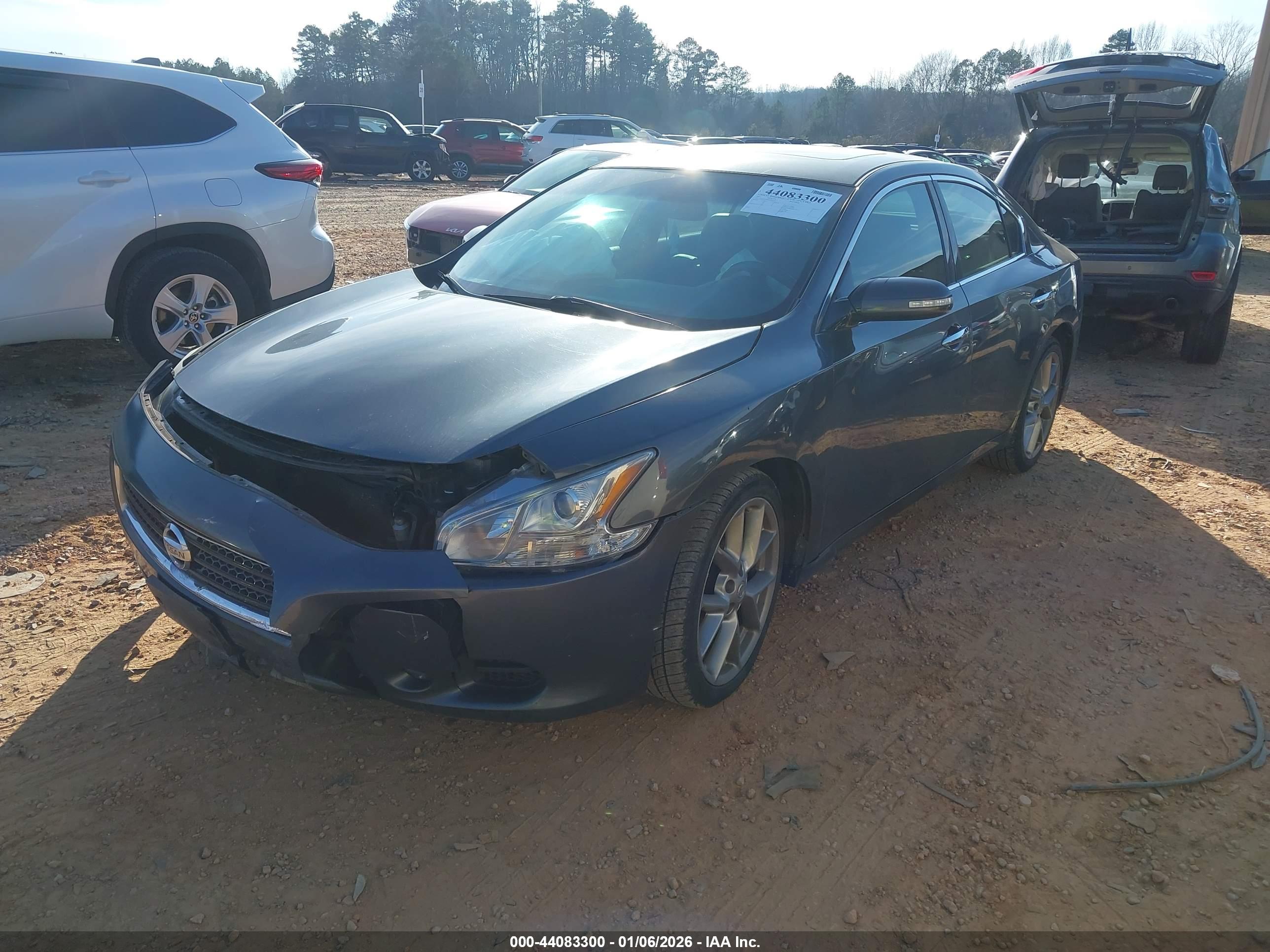 NISSAN MAXIMA image 2