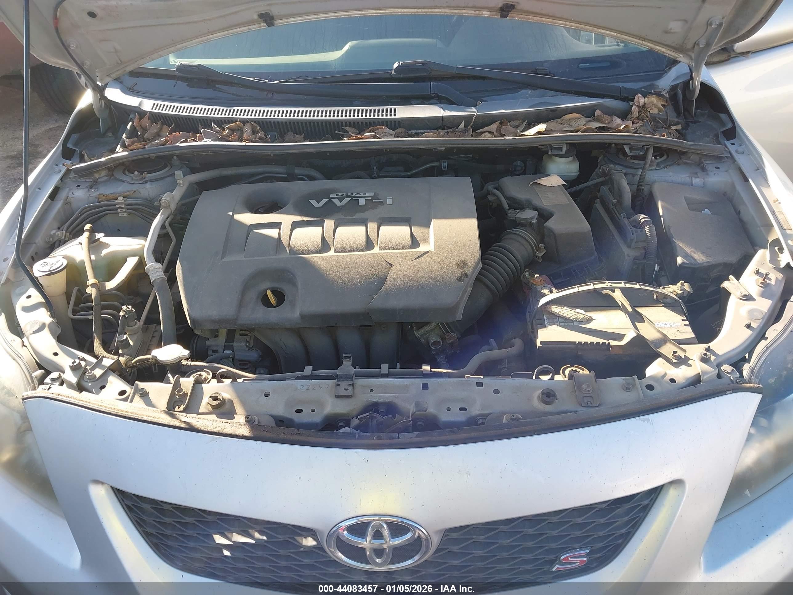 TOYOTA COROLLA image 10
