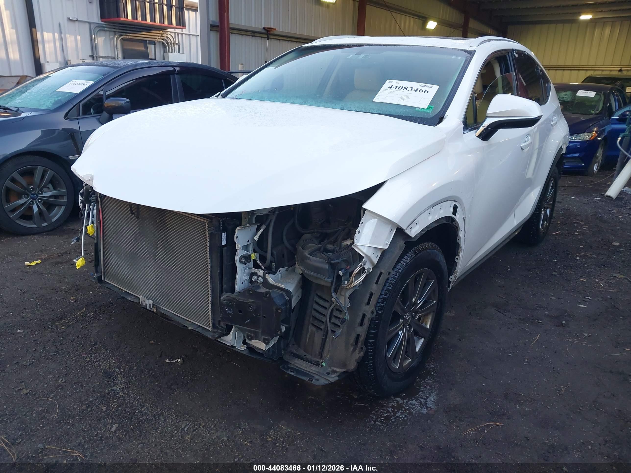 LEXUS NX image 2