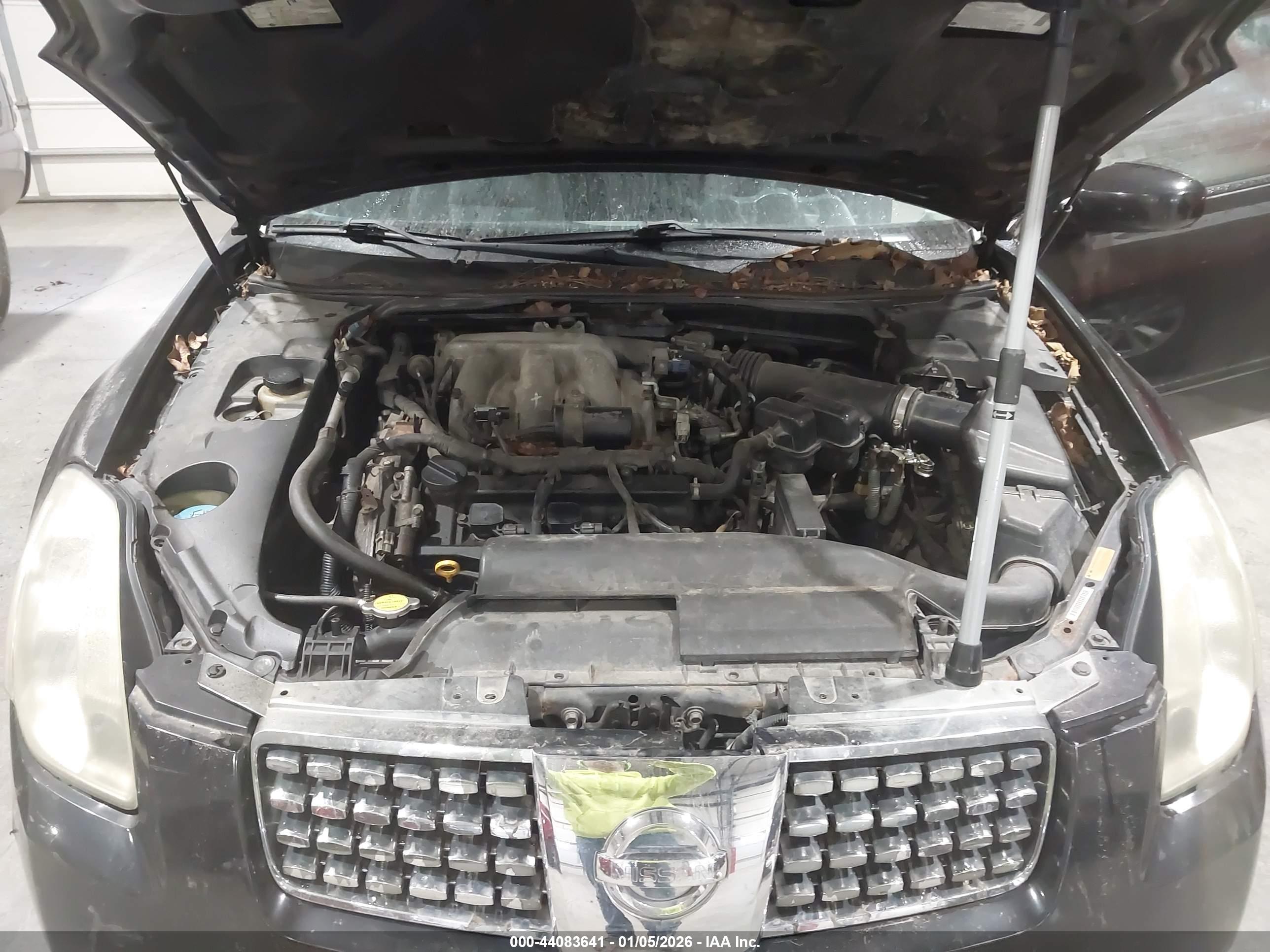 NISSAN MAXIMA image 10
