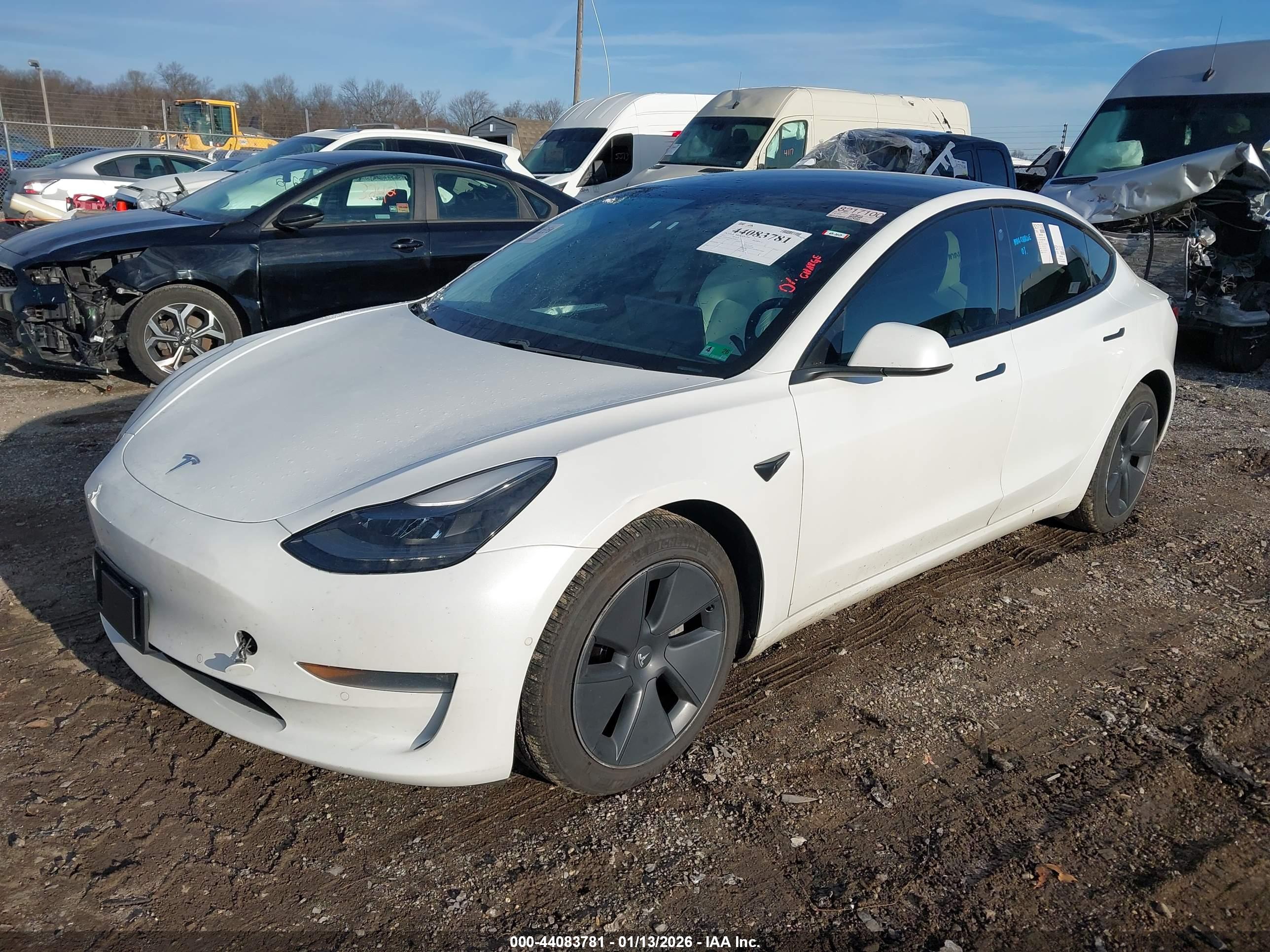 TESLA MODEL image 2