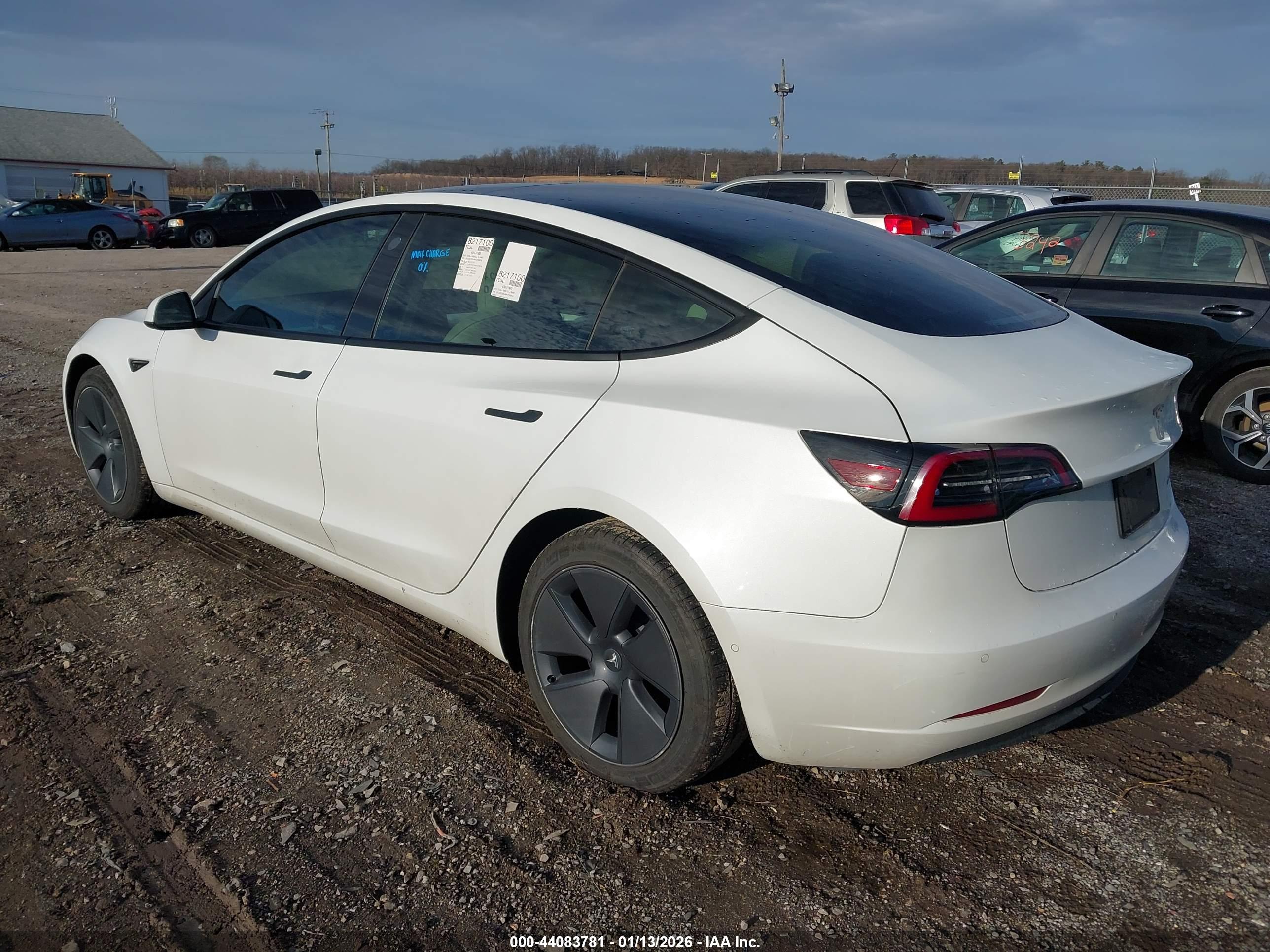TESLA MODEL image 3