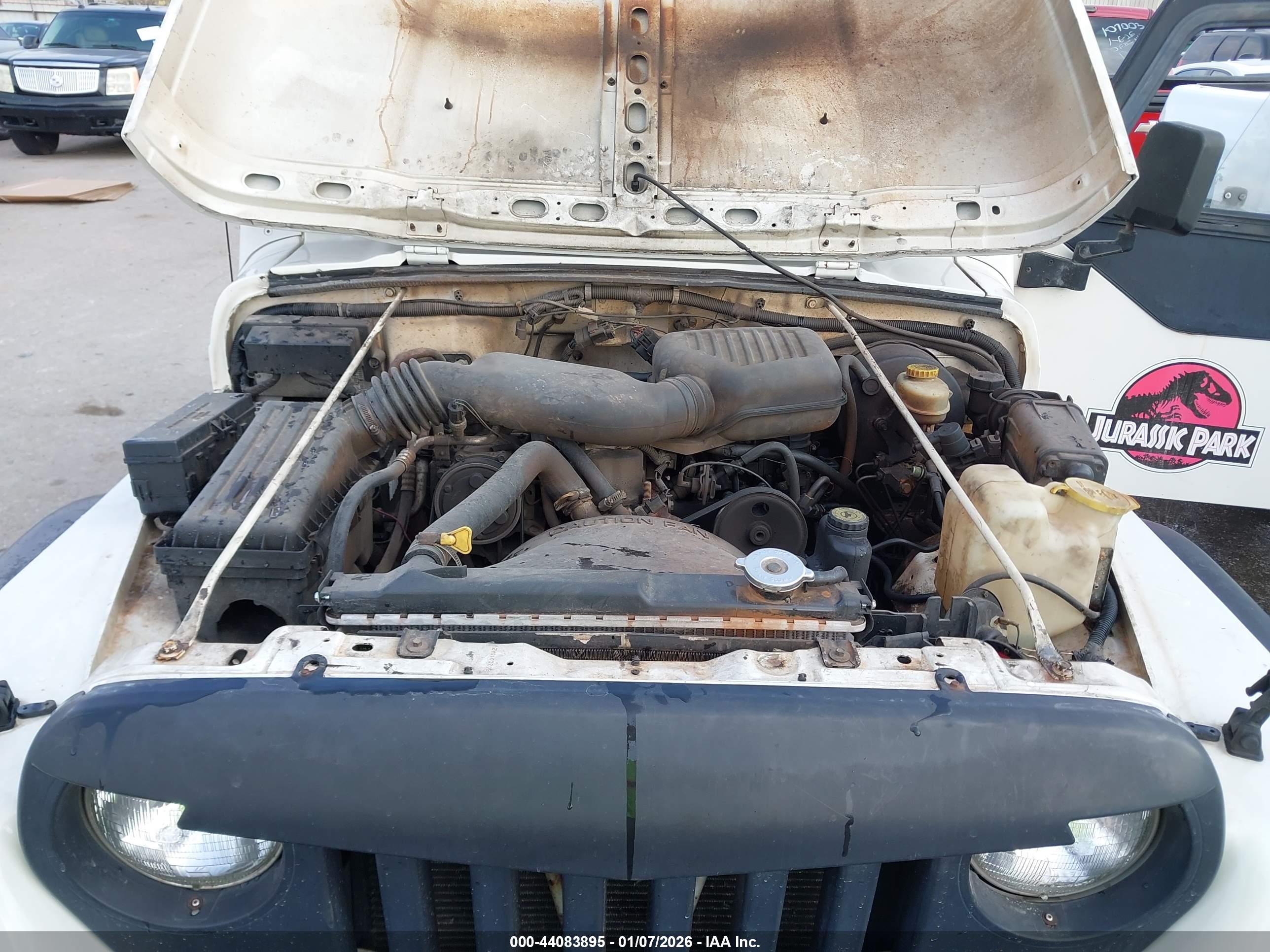 JEEP WRANGLER image 10