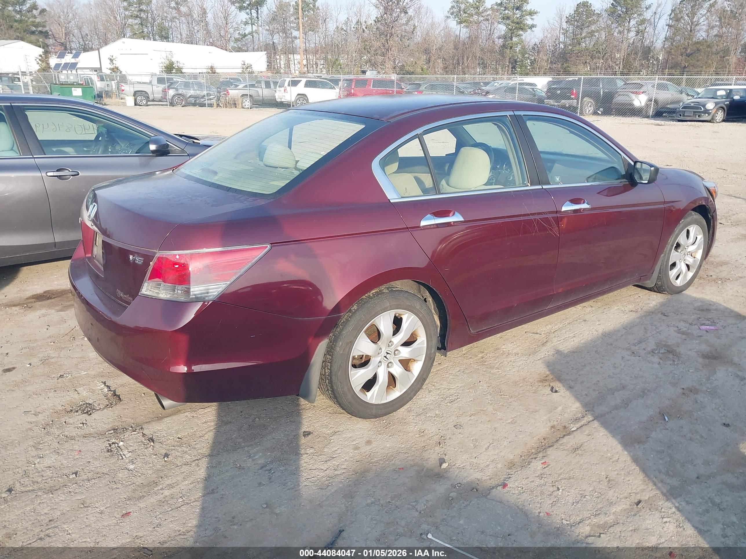 HONDA ACCORD image 4