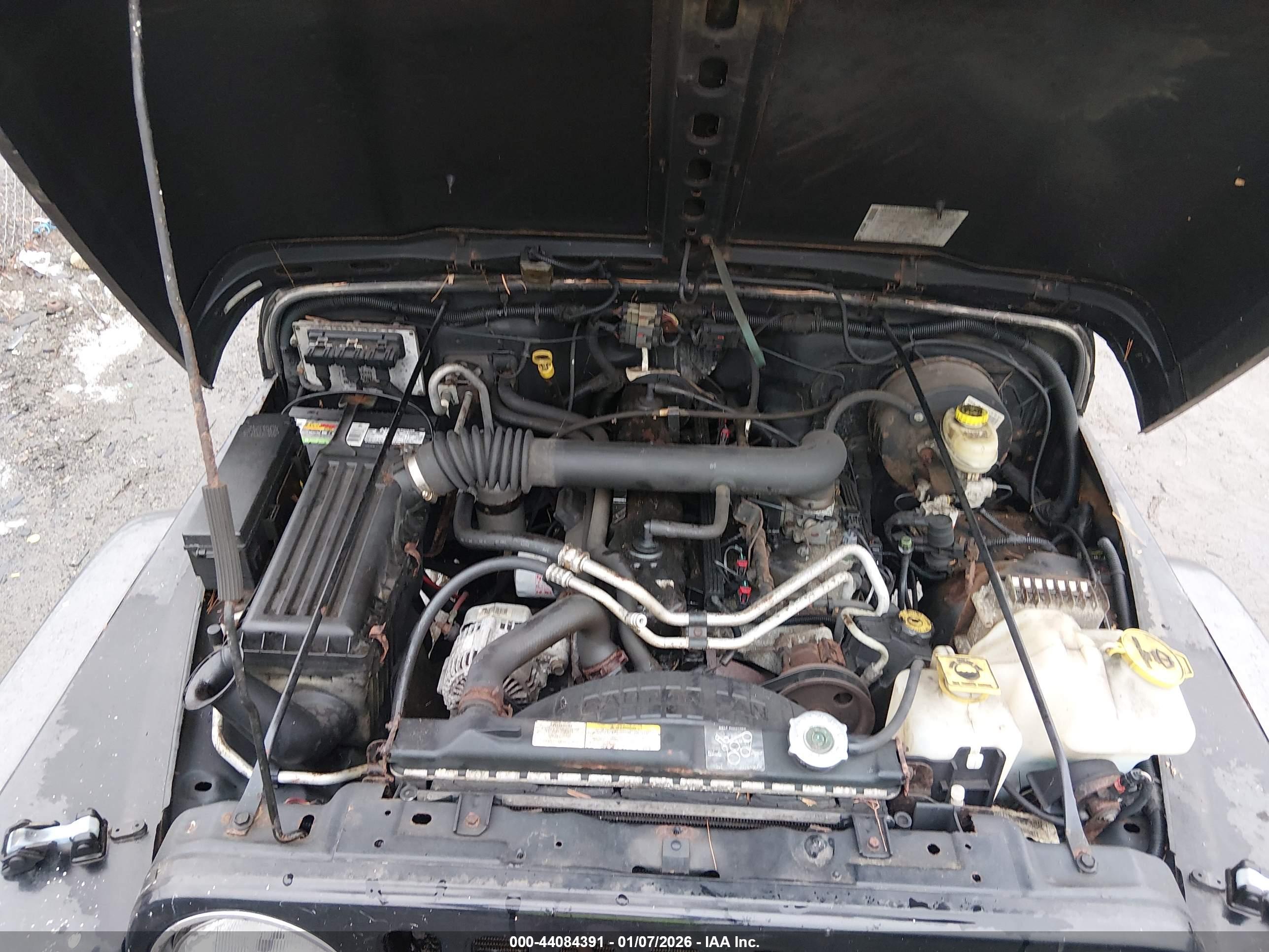 JEEP WRANGLER image 10