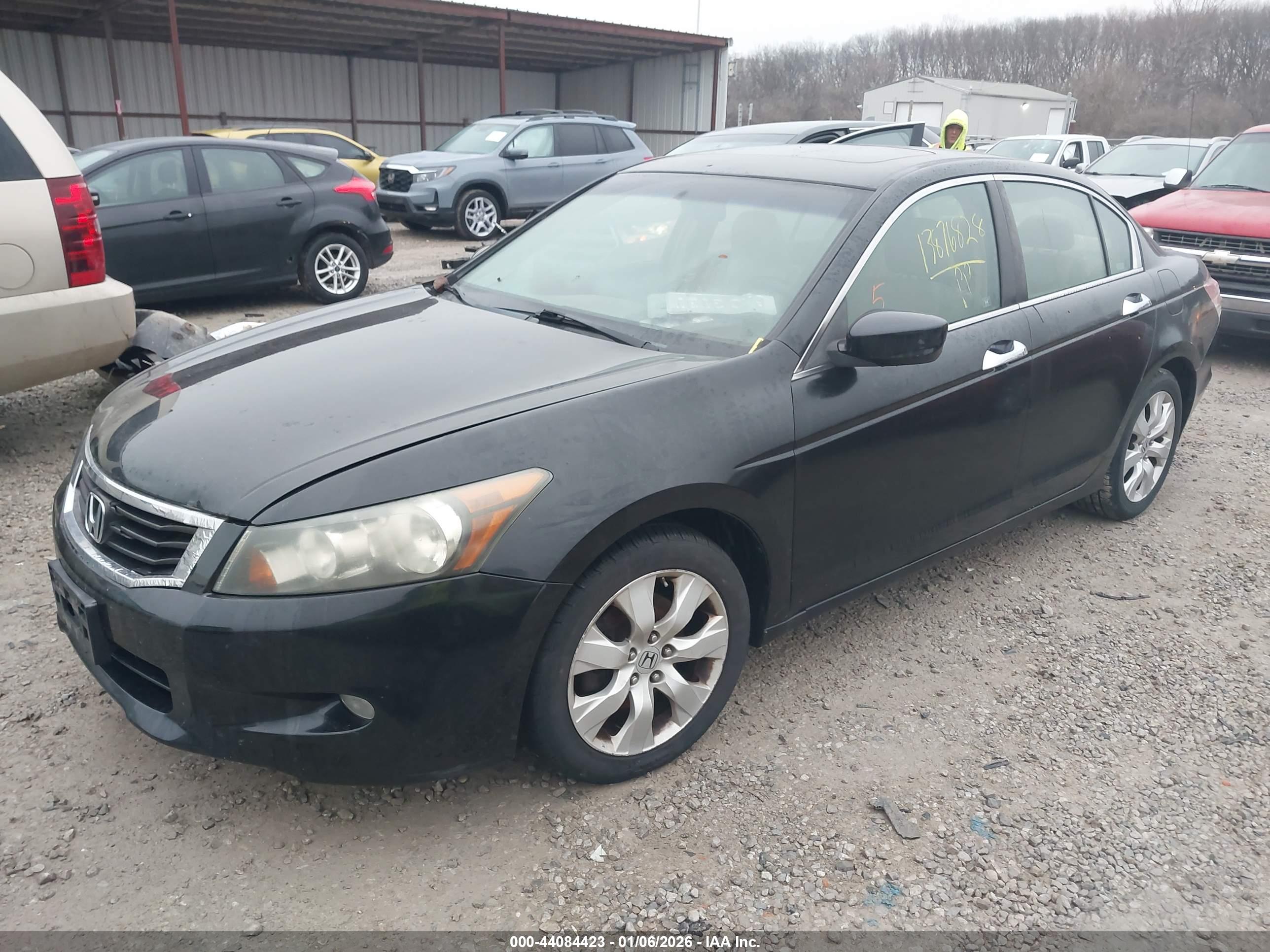 HONDA ACCORD image 2