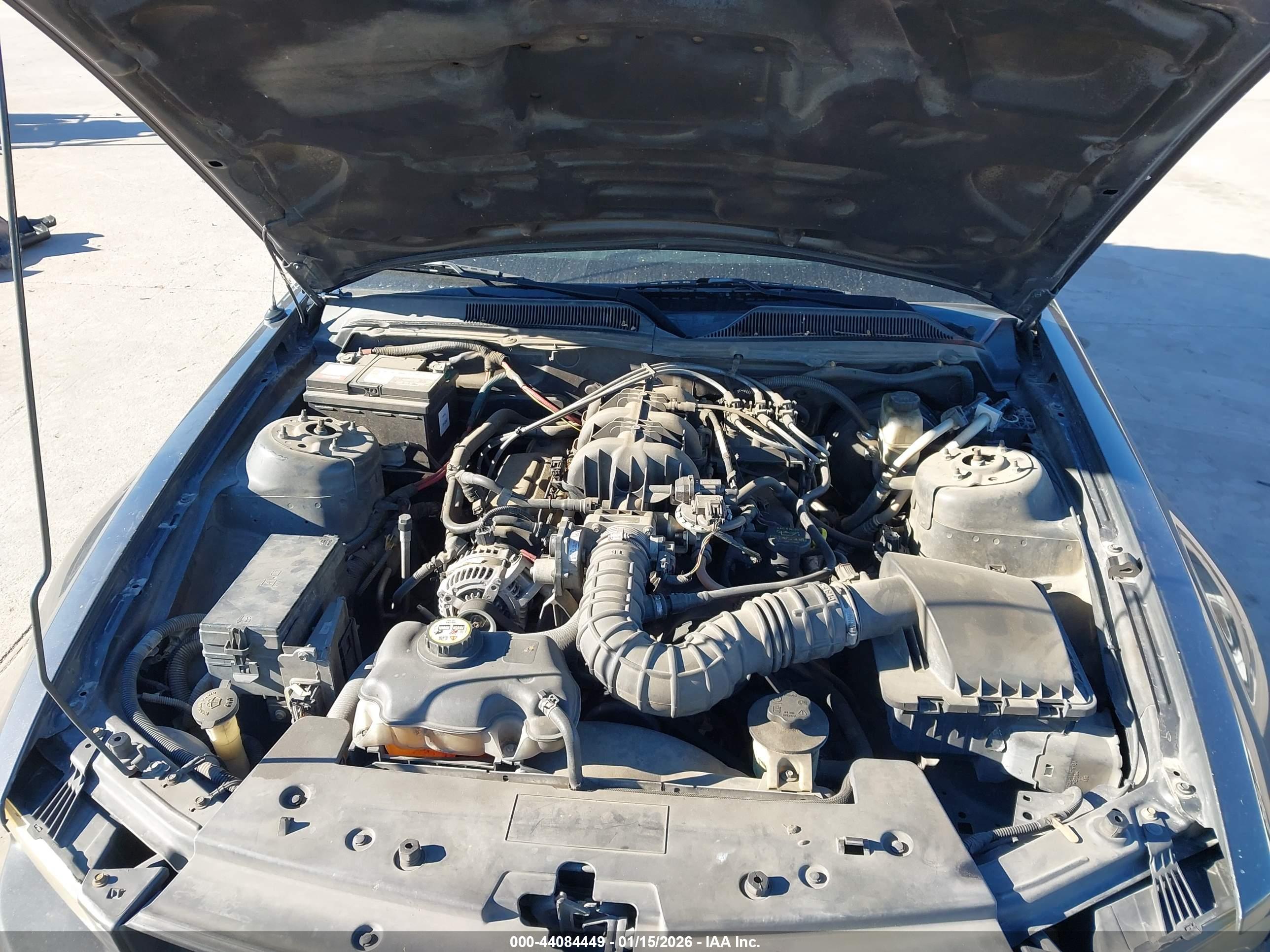 FORD MUSTANG image 10