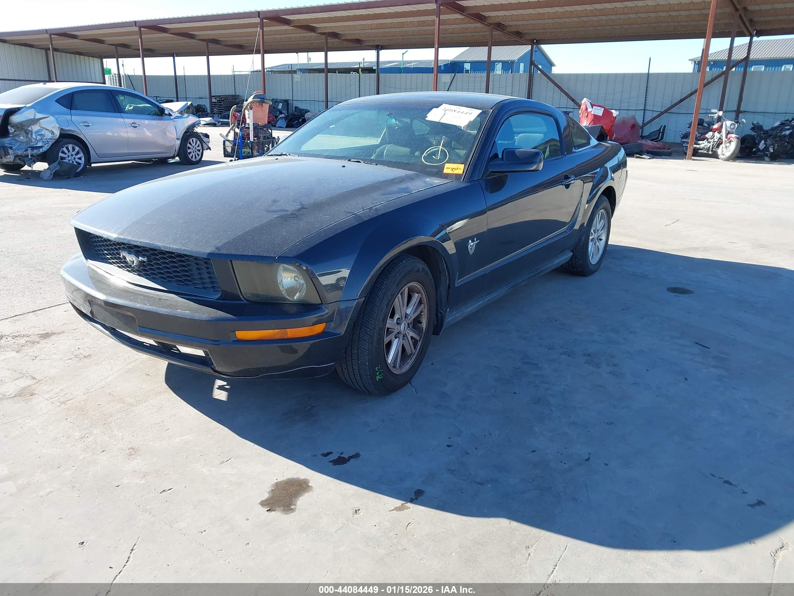 FORD MUSTANG image 2