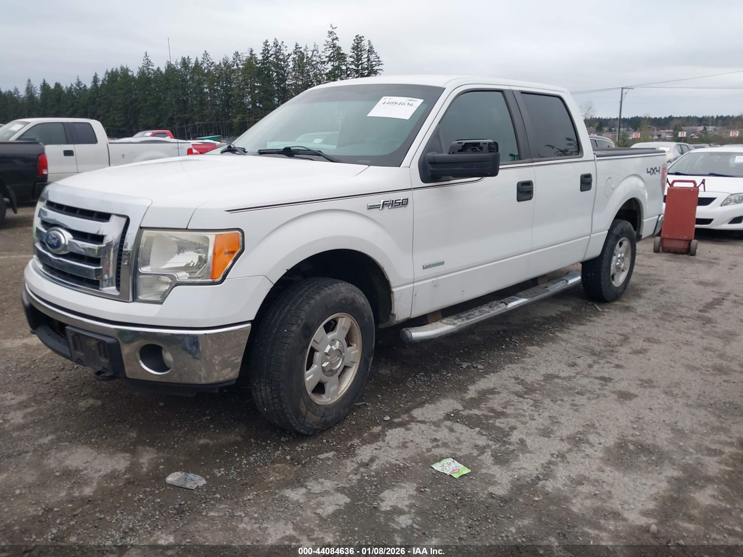 FORD F-150 image 2