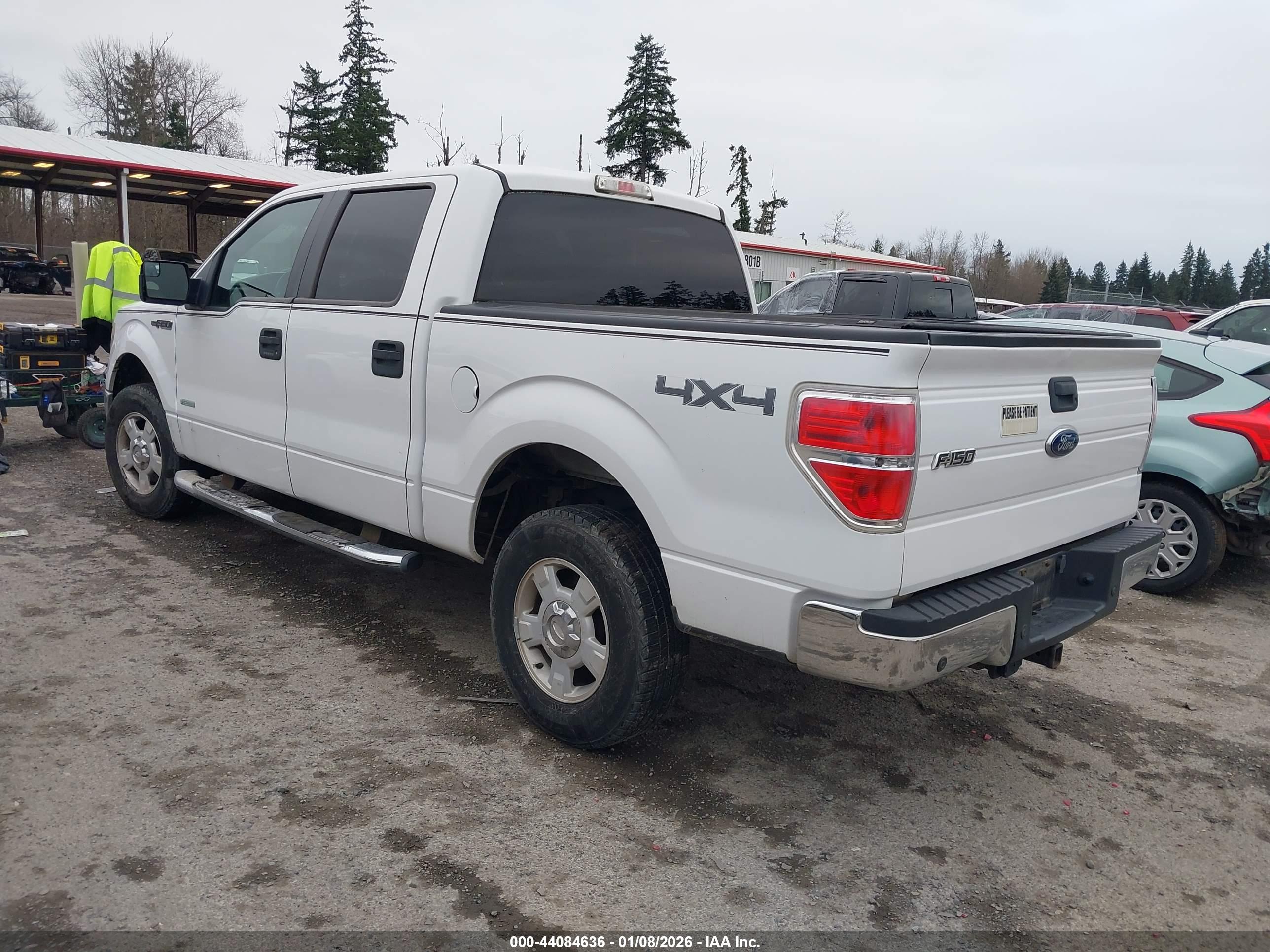 FORD F-150 image 3