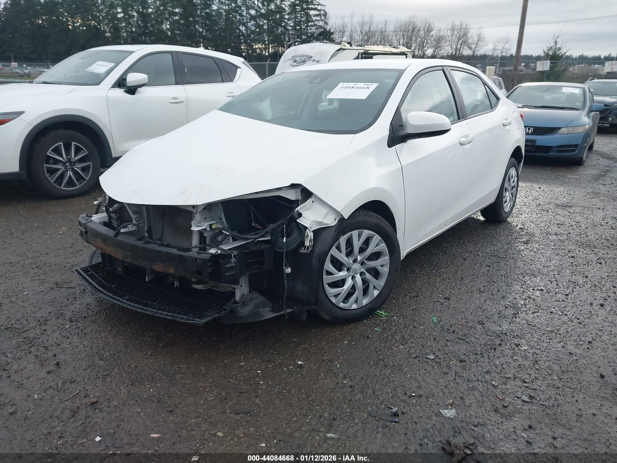 TOYOTA COROLLA image 2