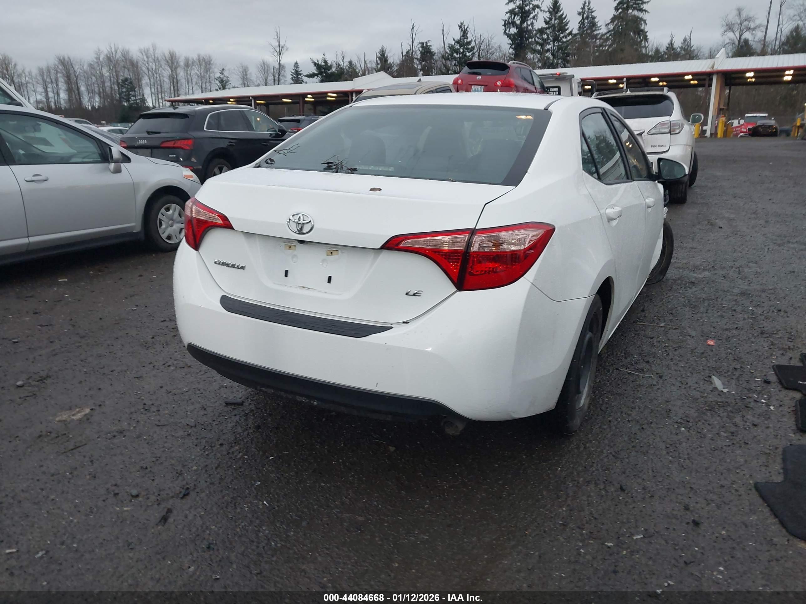 TOYOTA COROLLA image 4
