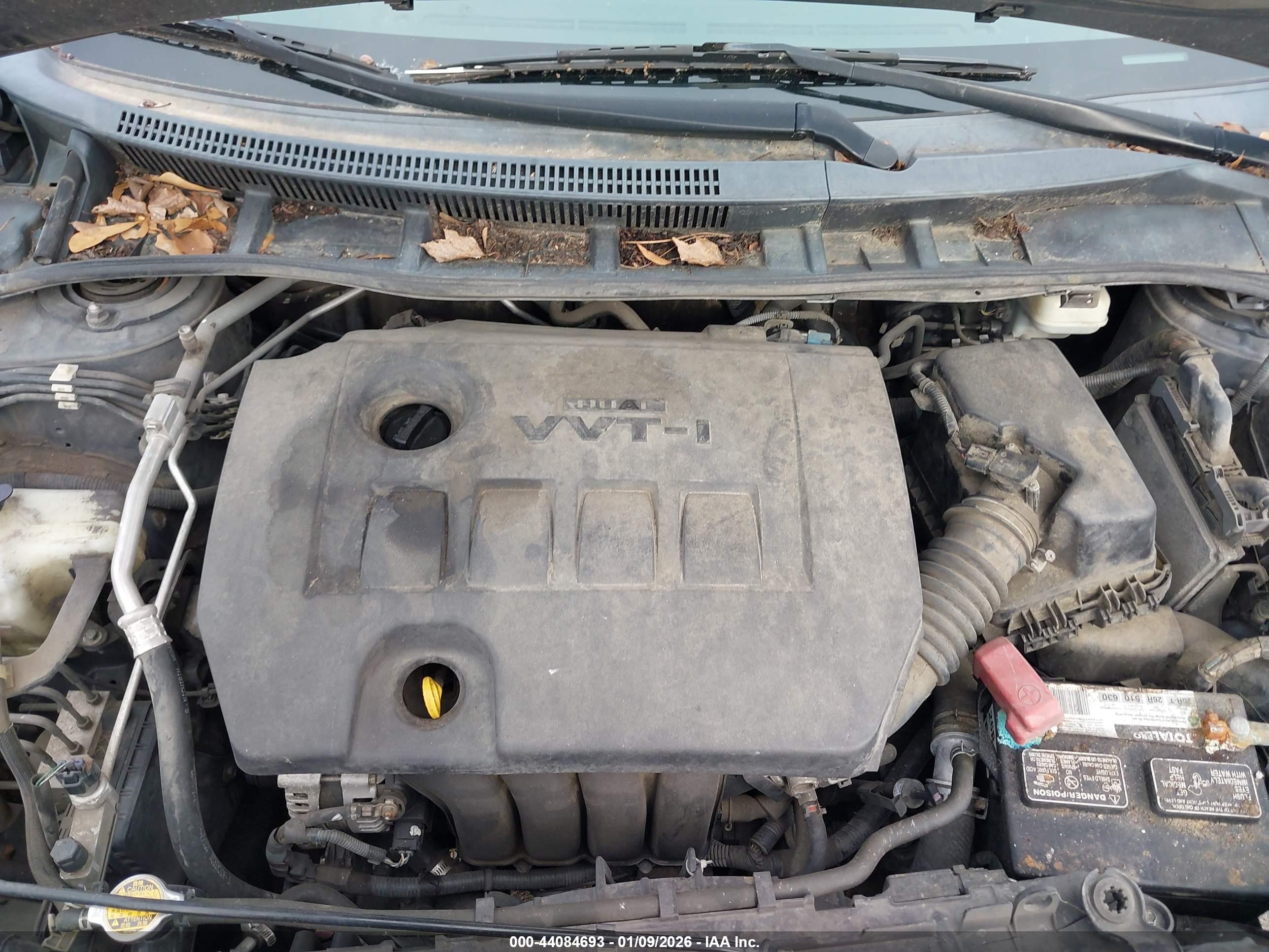 TOYOTA COROLLA image 10
