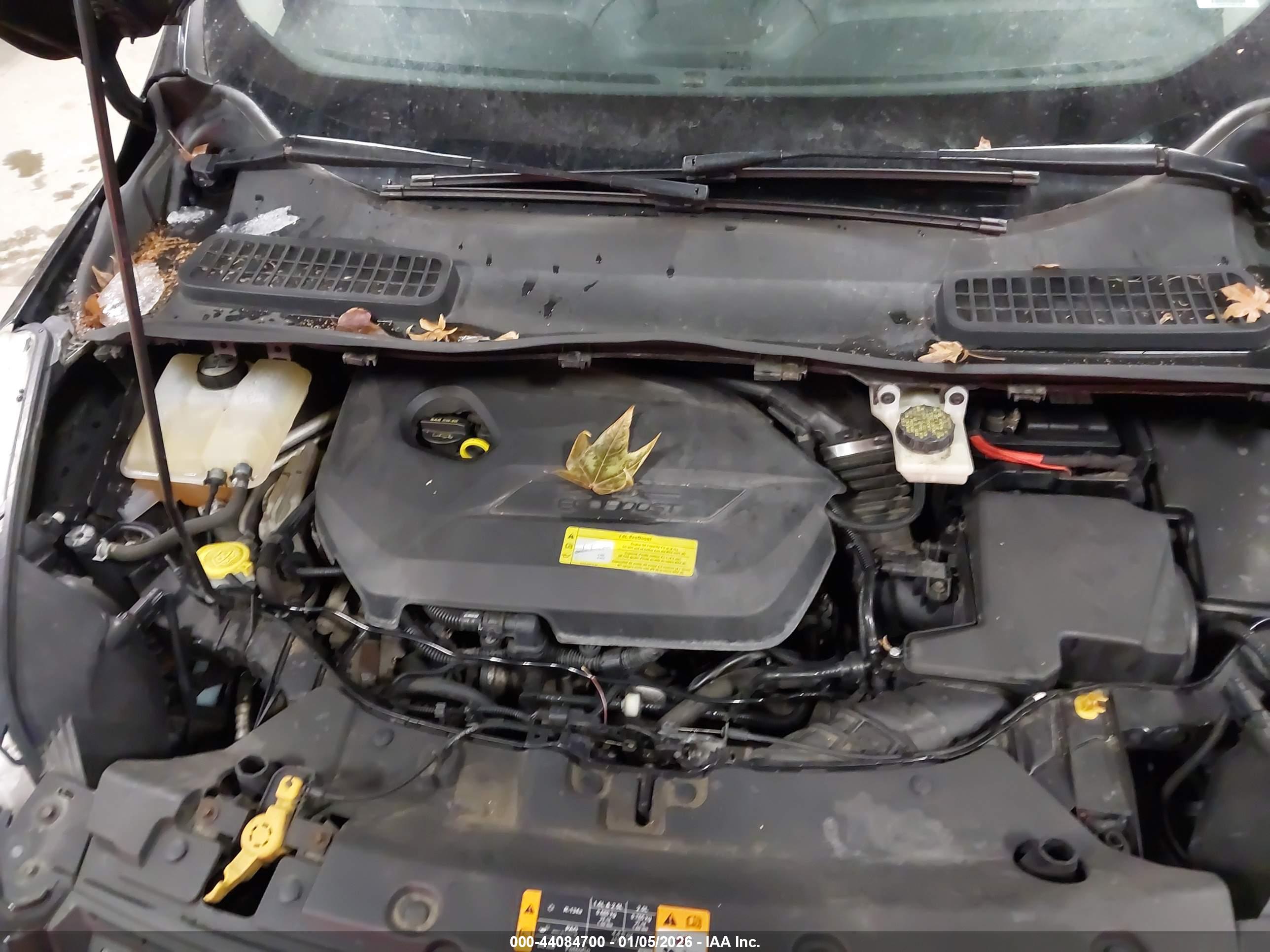 FORD ESCAPE image 10