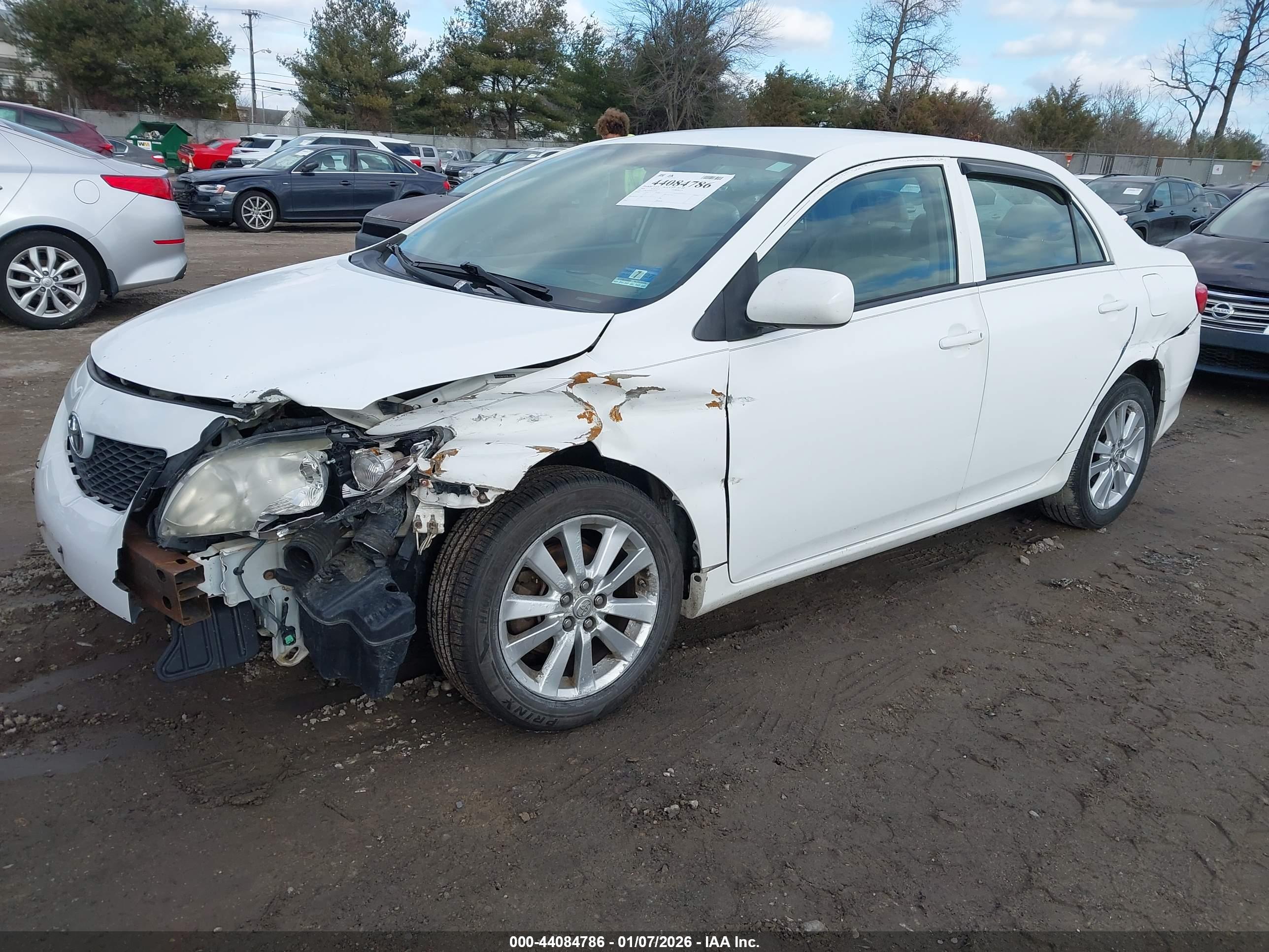 TOYOTA COROLLA image 2