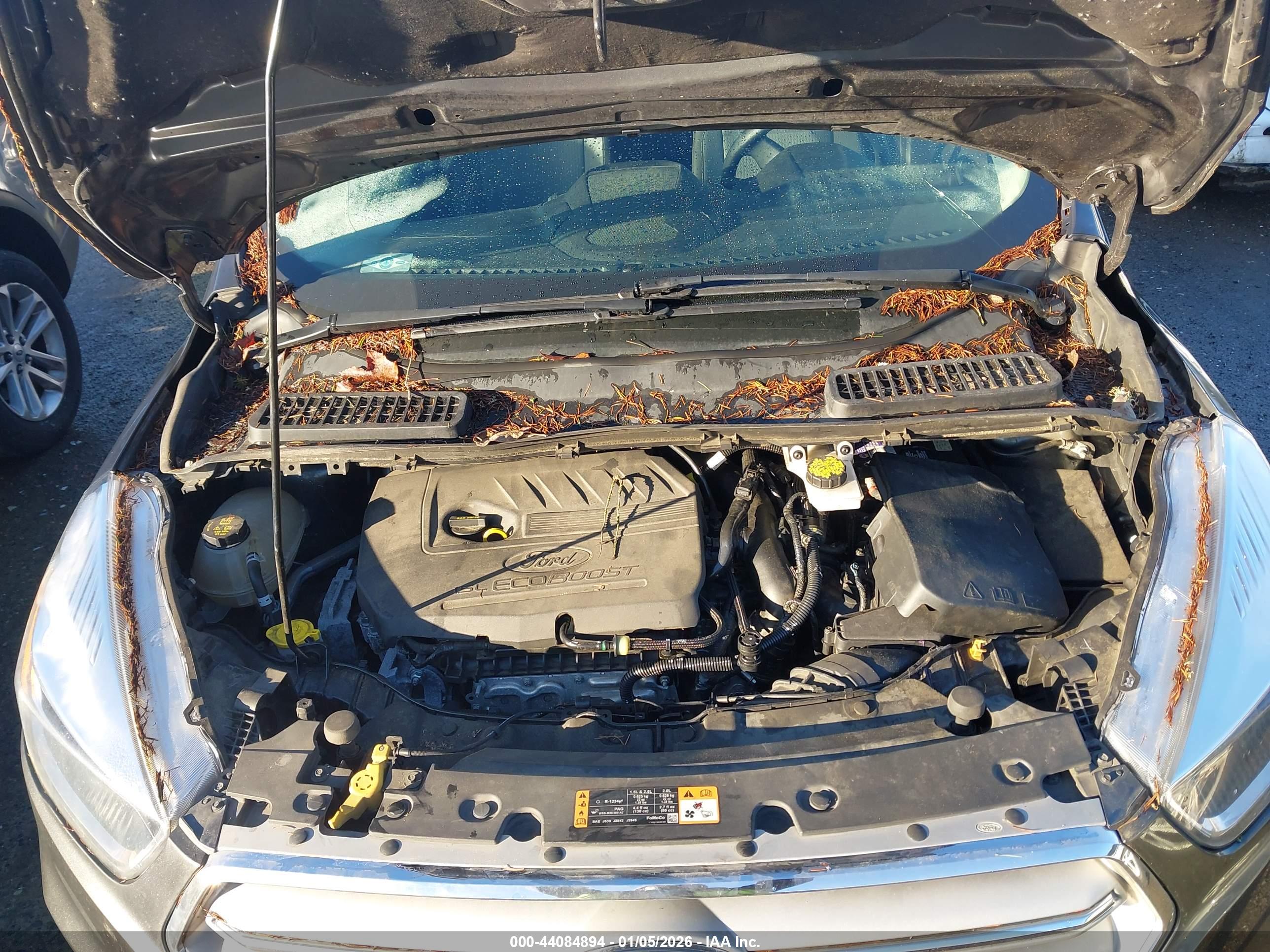 FORD ESCAPE image 10