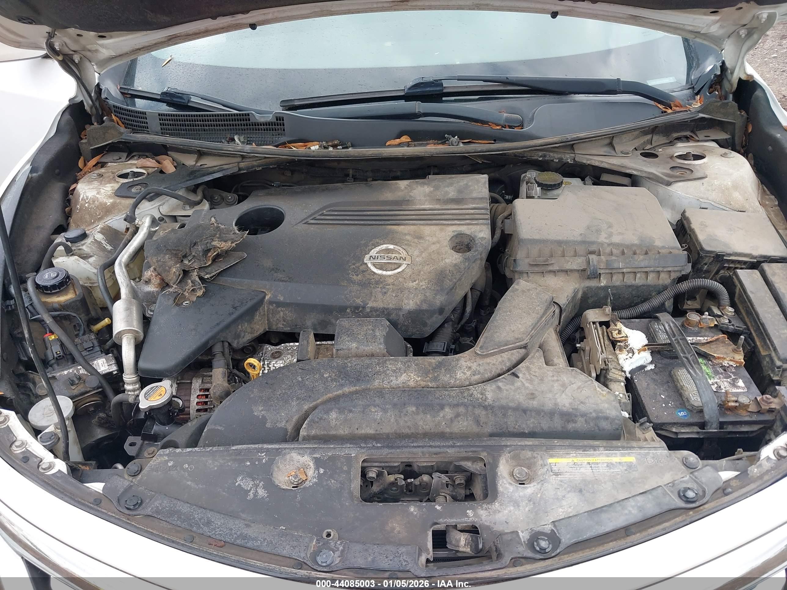 NISSAN ALTIMA image 10